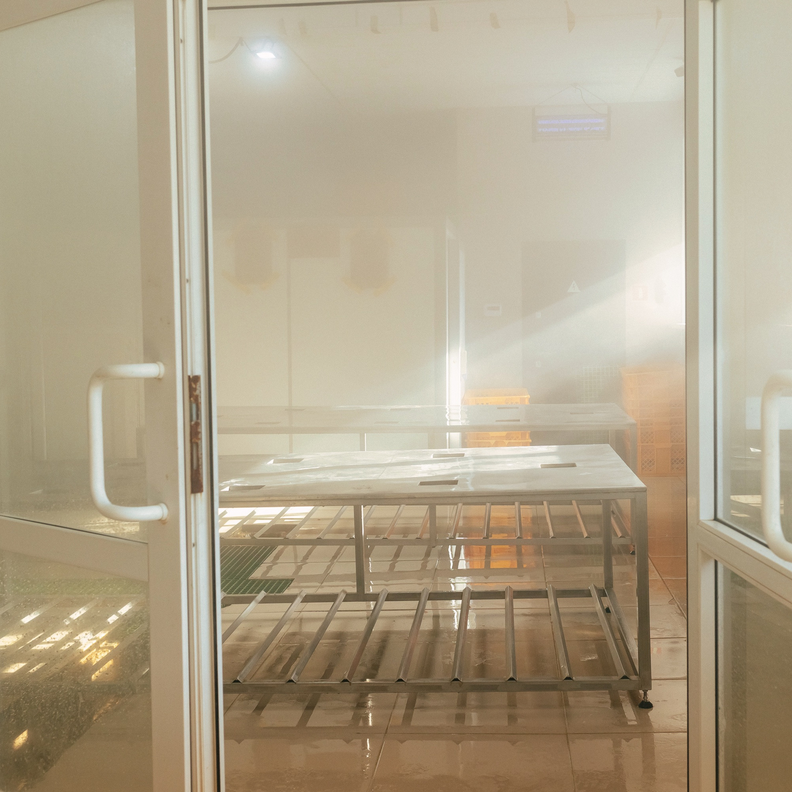 ТИХРЫБКОМ 2022