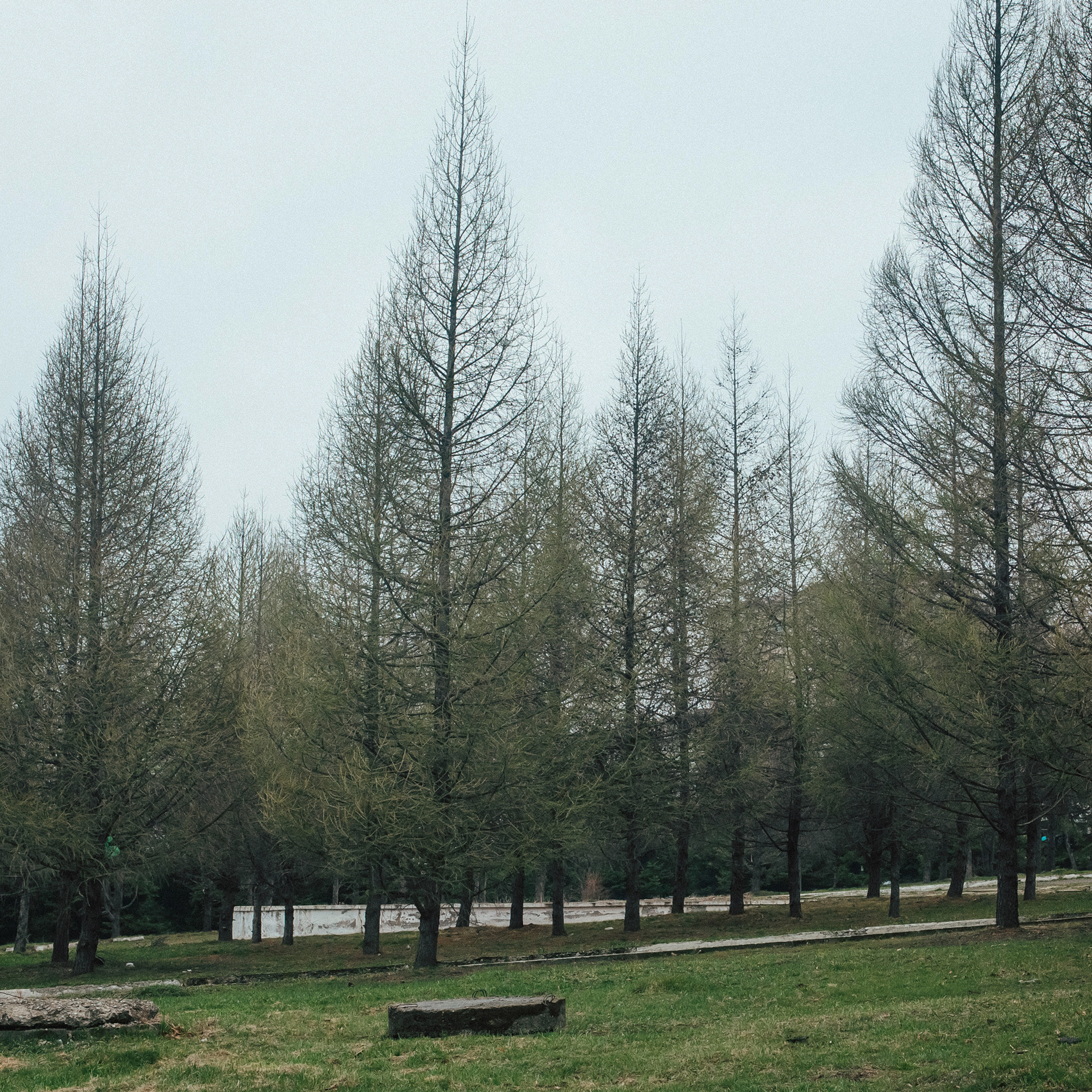 Лесозаводск 2022