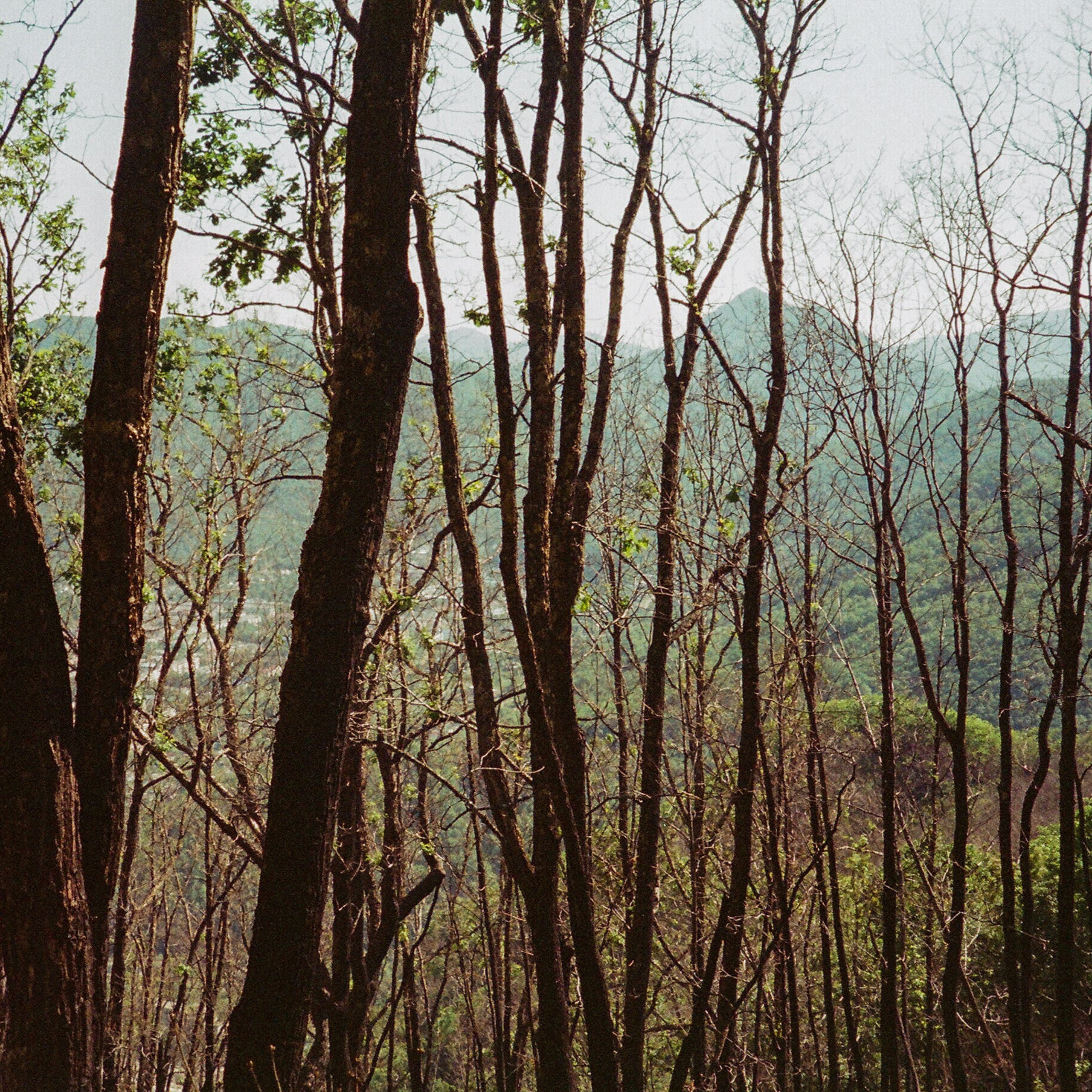 Дальнегорск-Краснореченск 2016