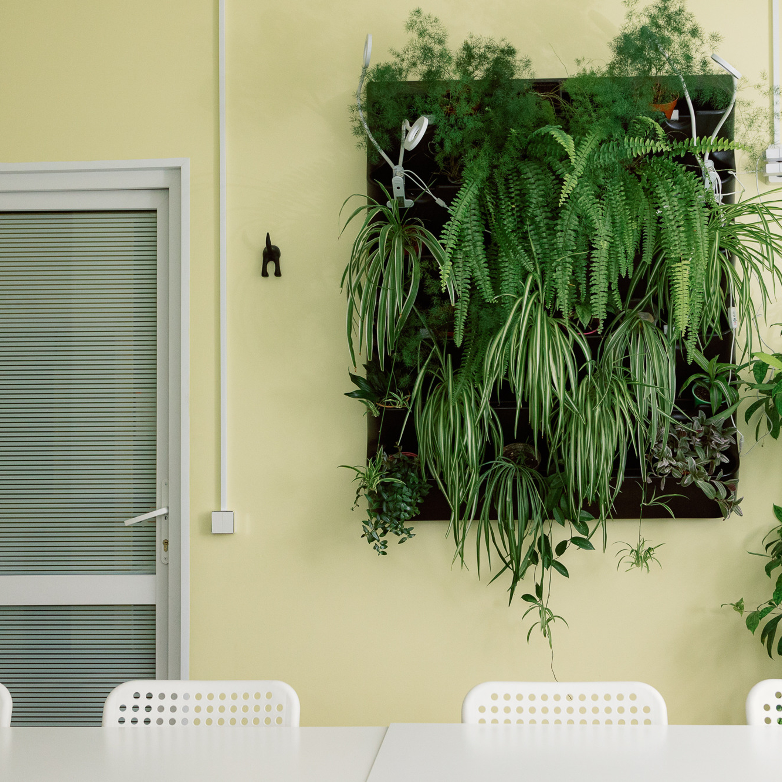 Коворкинг greenstudio