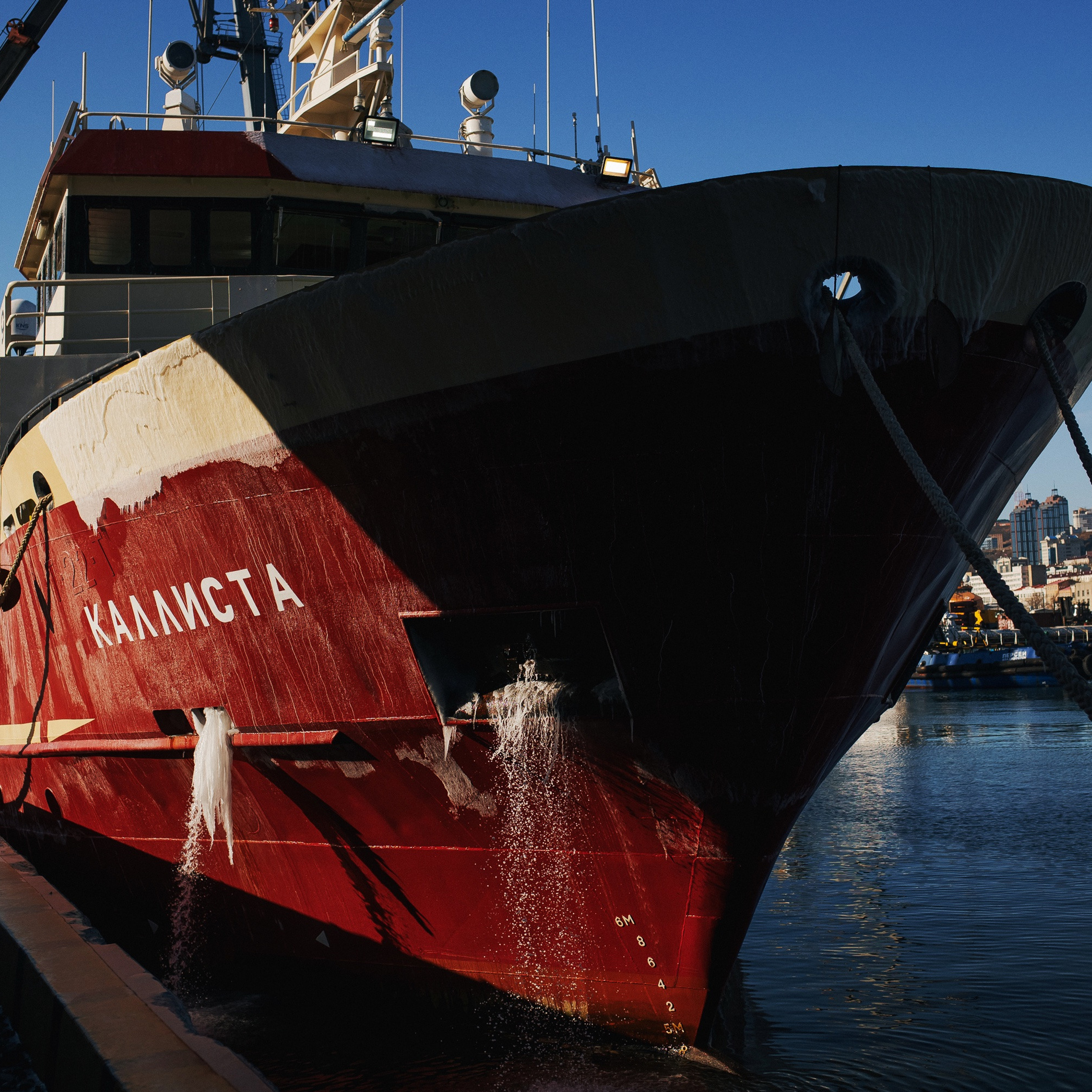 ТИХРЫБКОМ 2022