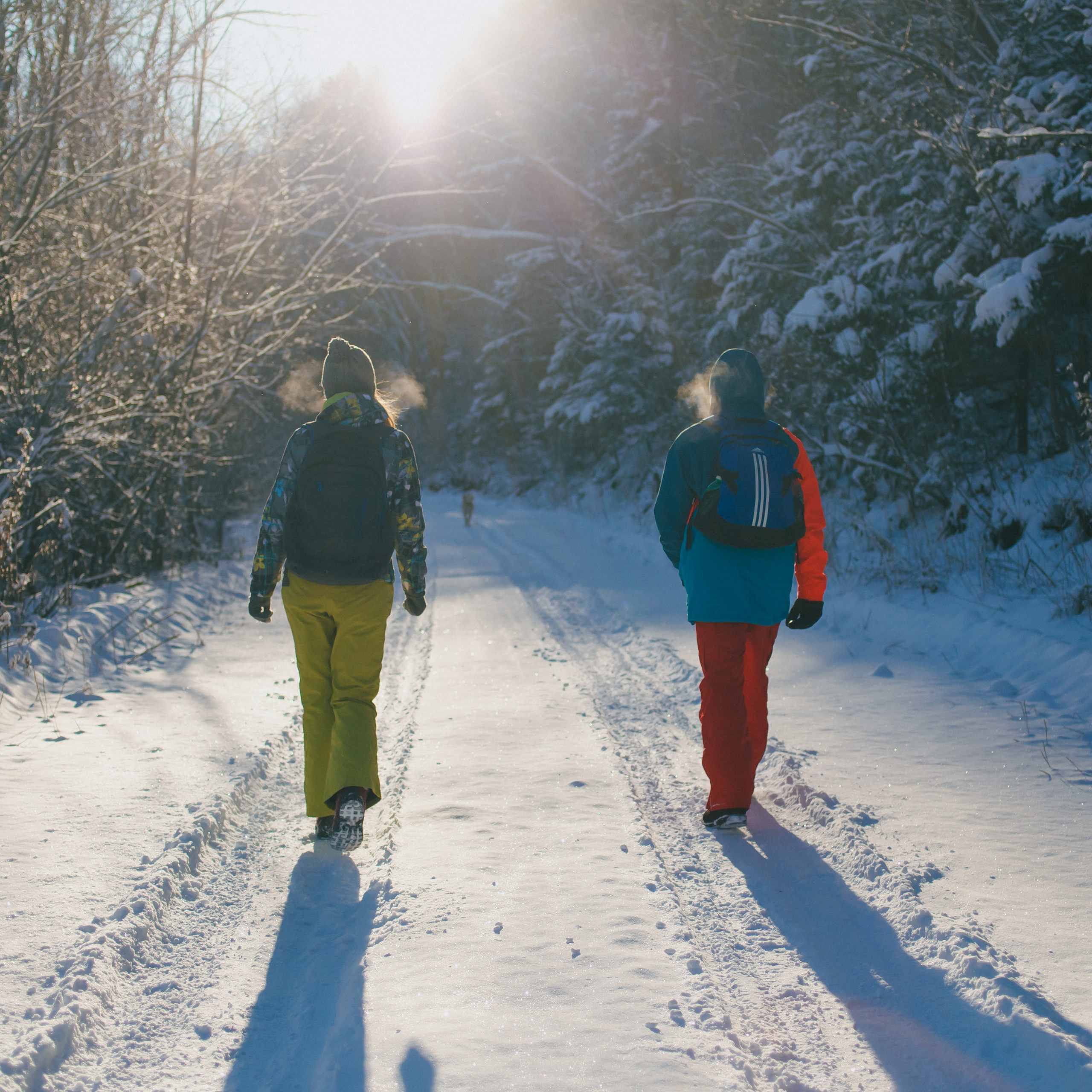ФАЛАЗА разные года