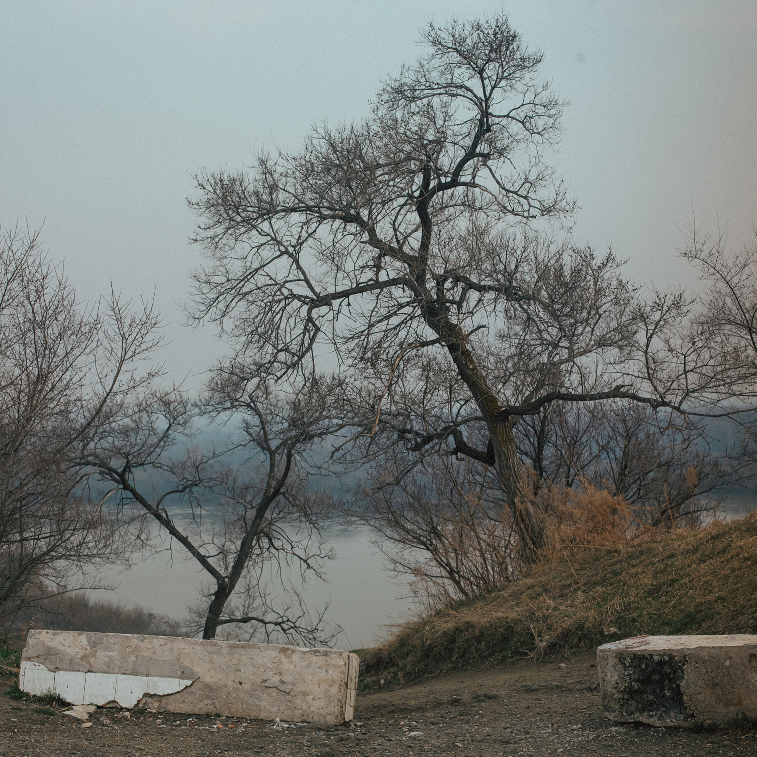 Лесозаводск 2022