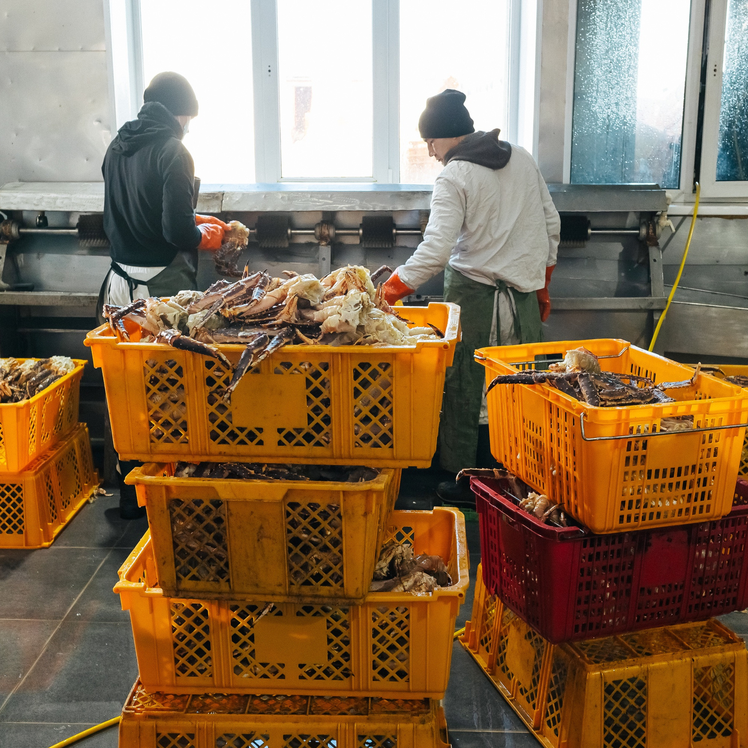 ТИХРЫБКОМ 2022