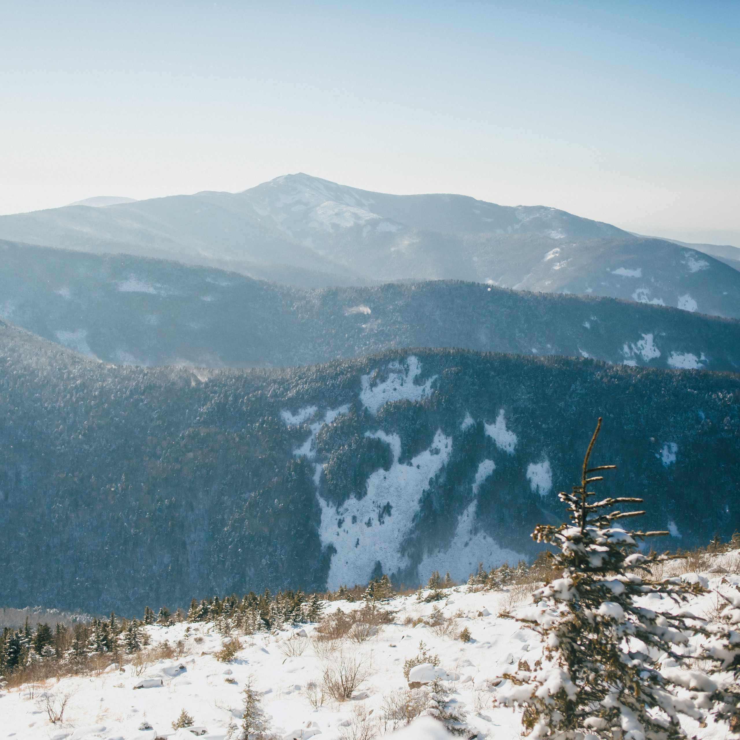ФАЛАЗА разные года