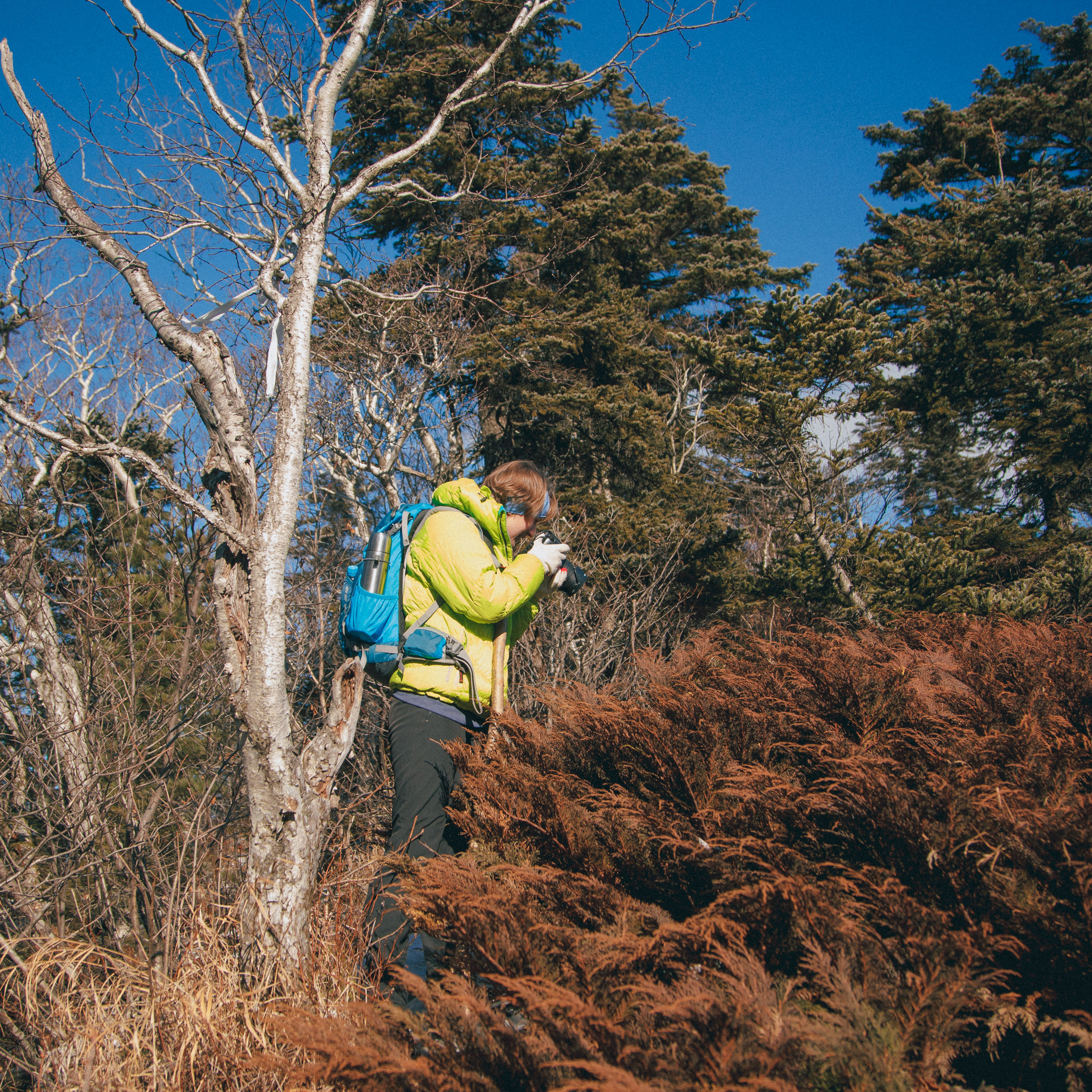 ФАЛАЗА разные года