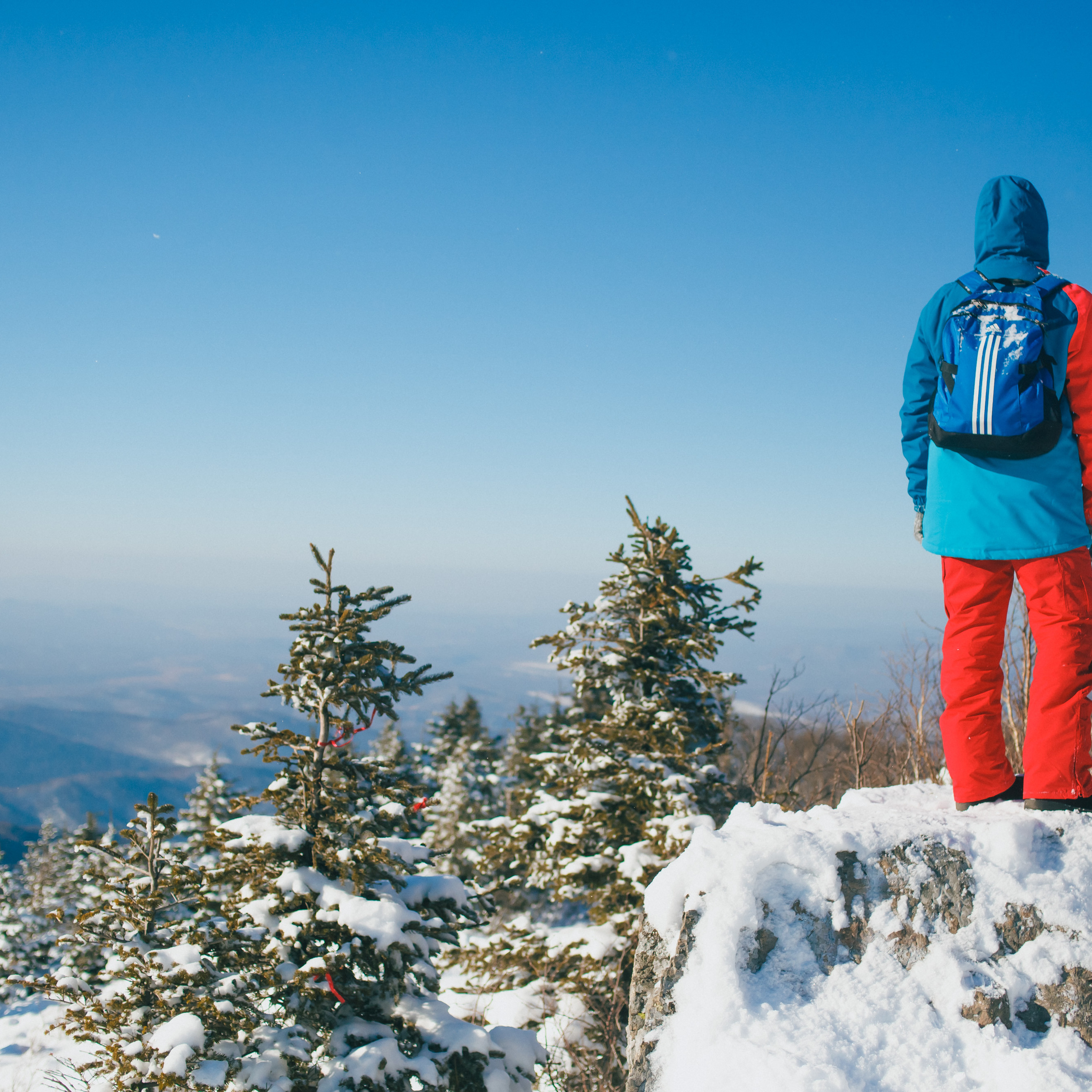 ФАЛАЗА разные года
