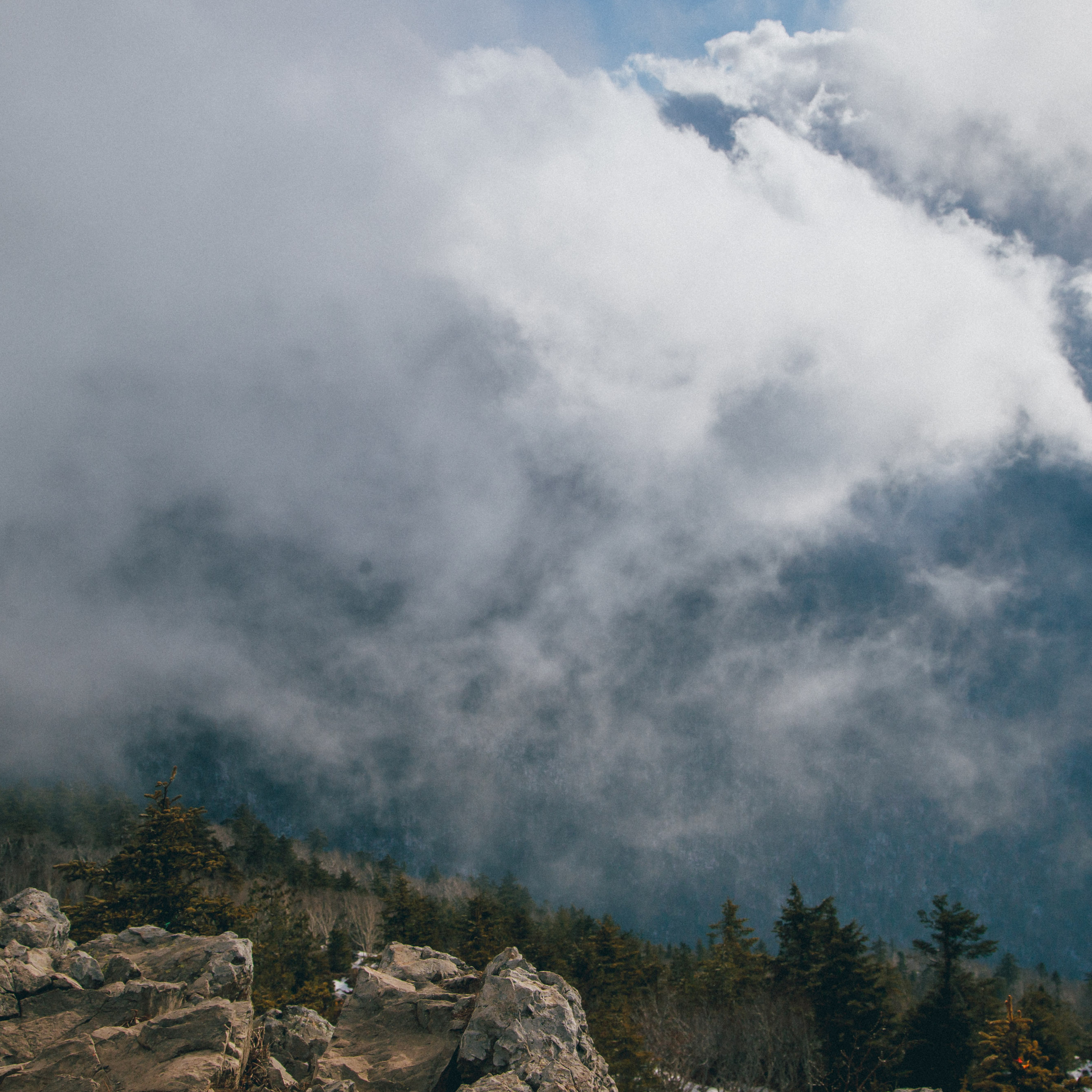 ФАЛАЗА разные года