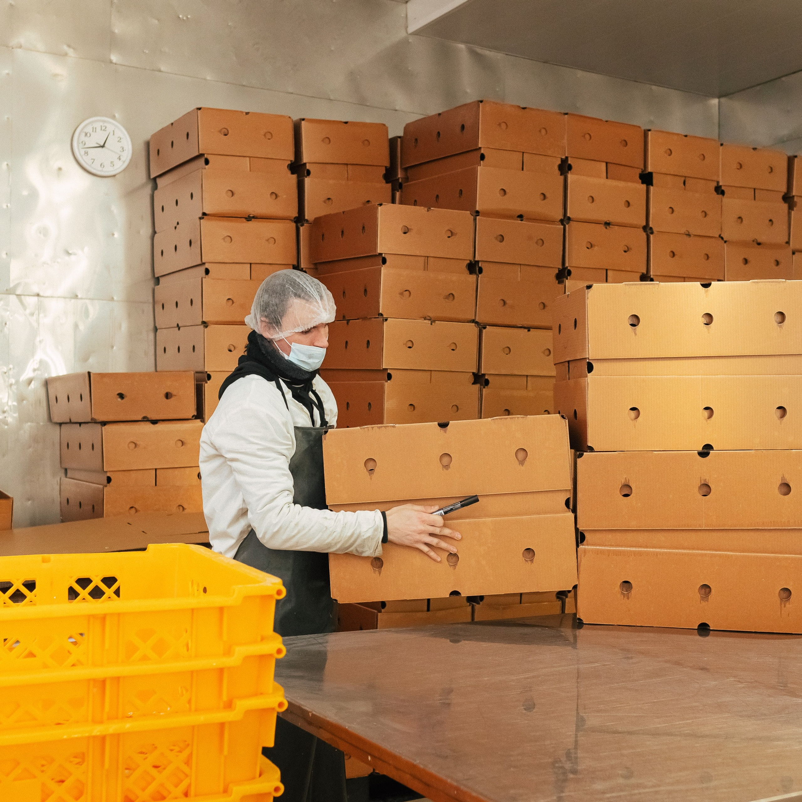 ТИХРЫБКОМ 2022