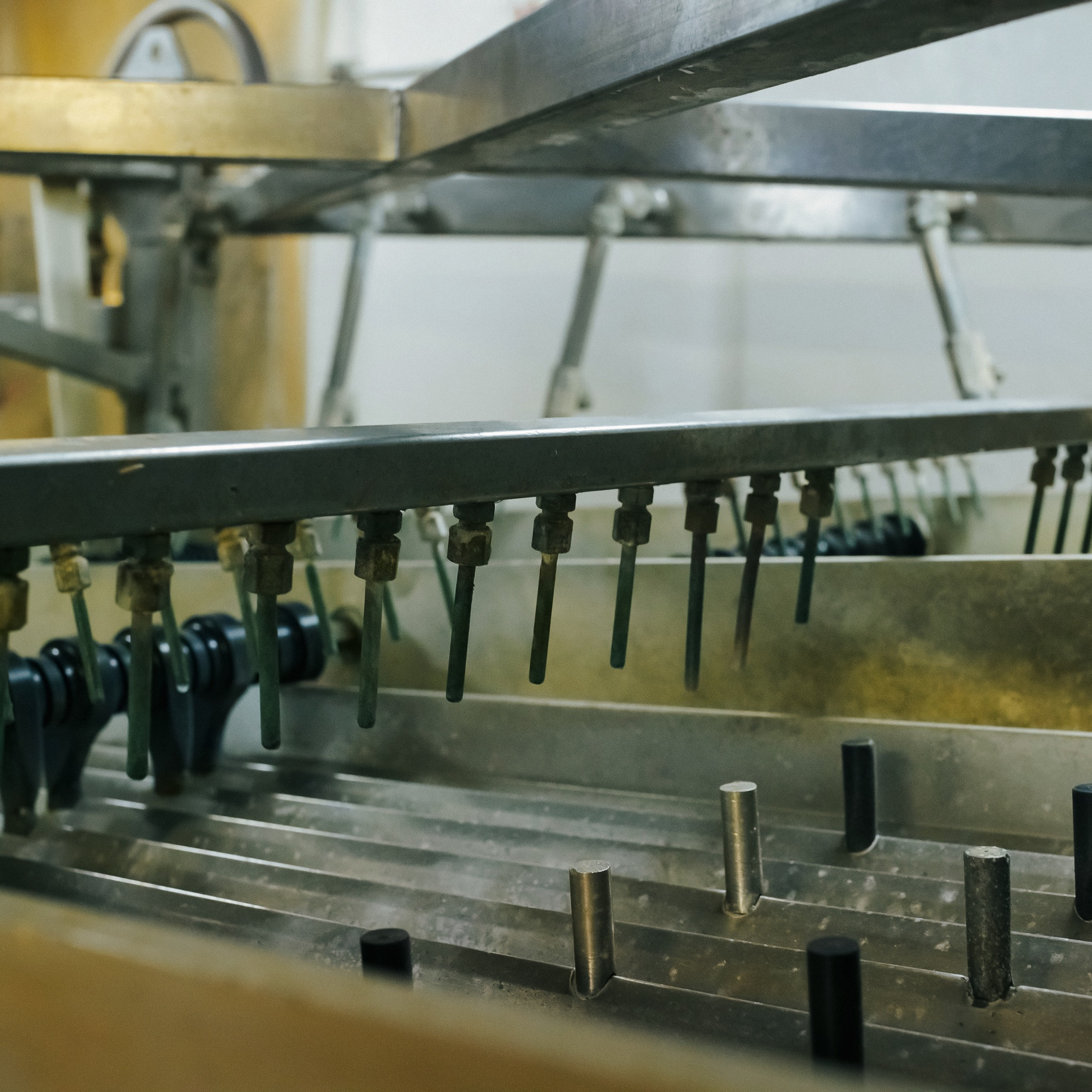 ТИХРЫБКОМ 2022