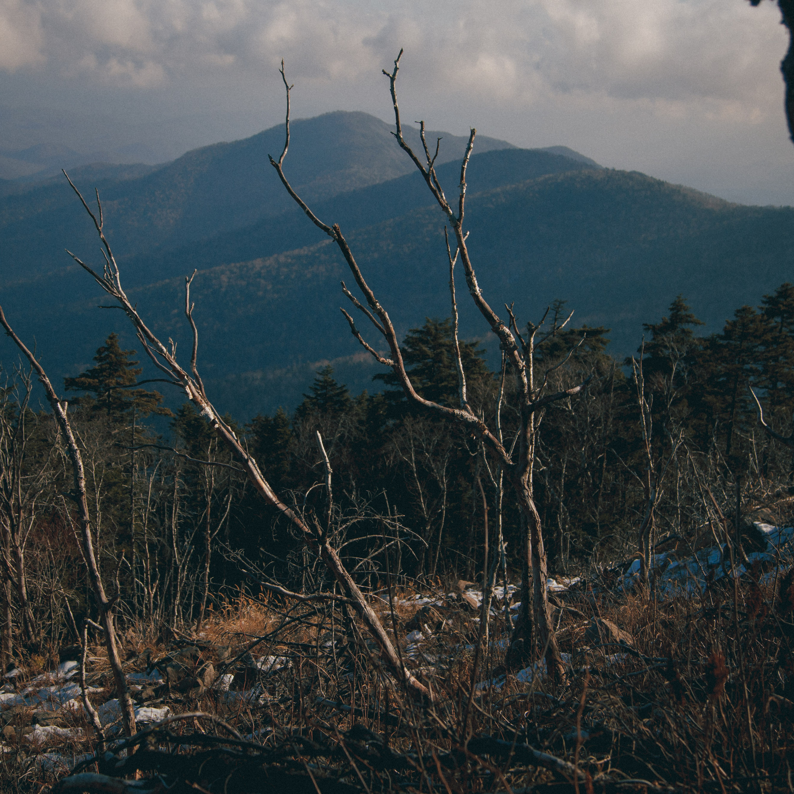 ФАЛАЗА разные года