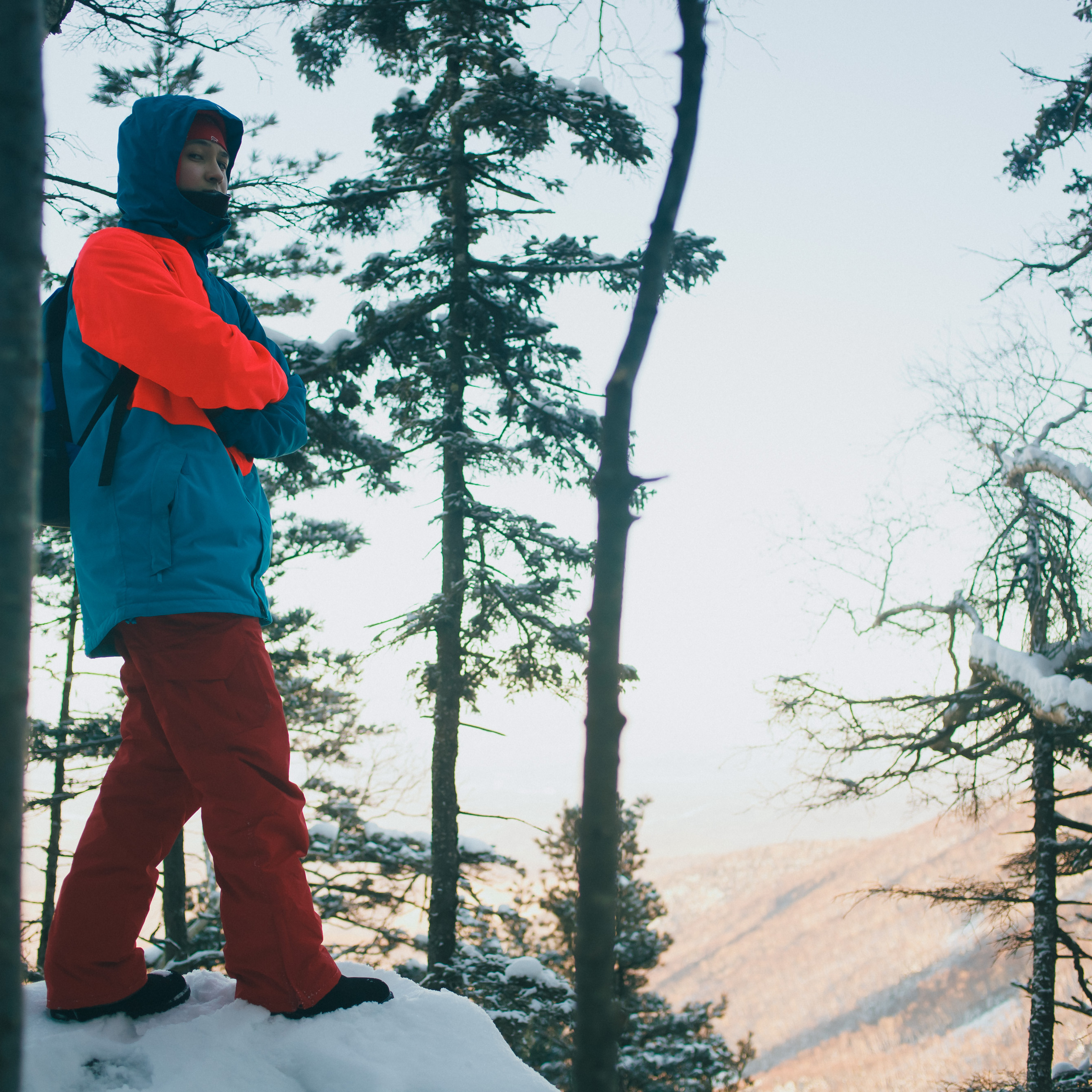 ФАЛАЗА разные года