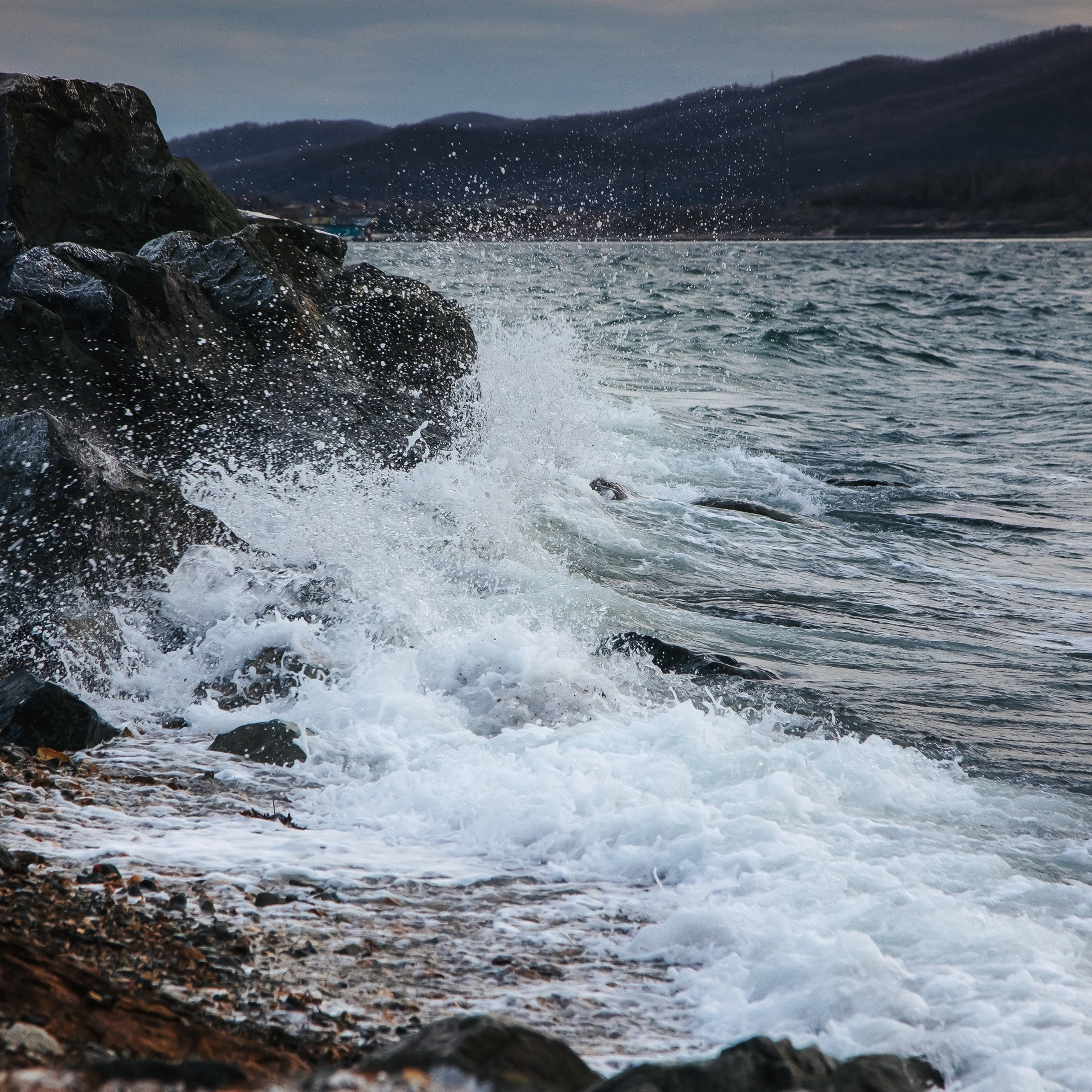 ТИХРЫБКОМ 2022