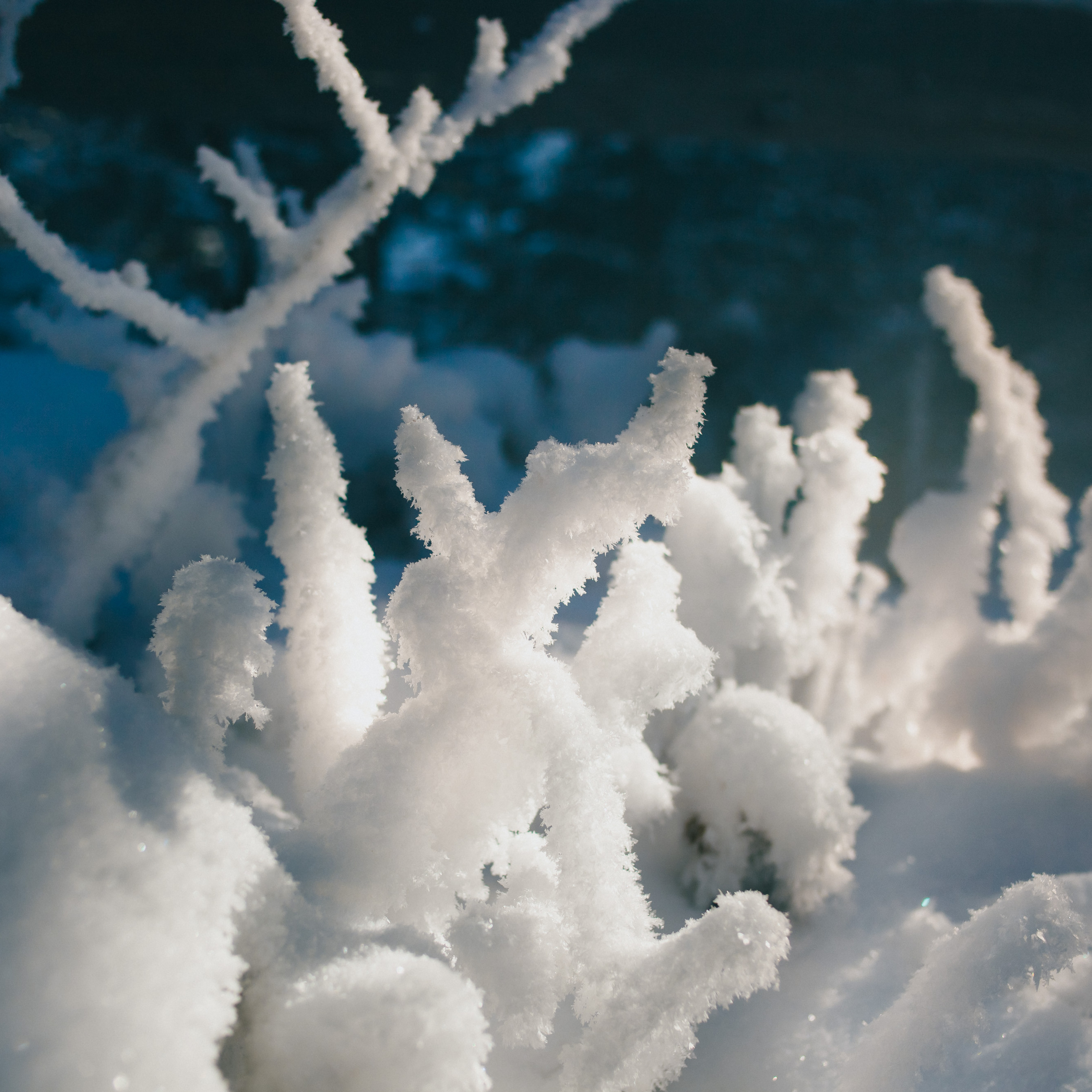 ФАЛАЗА разные года