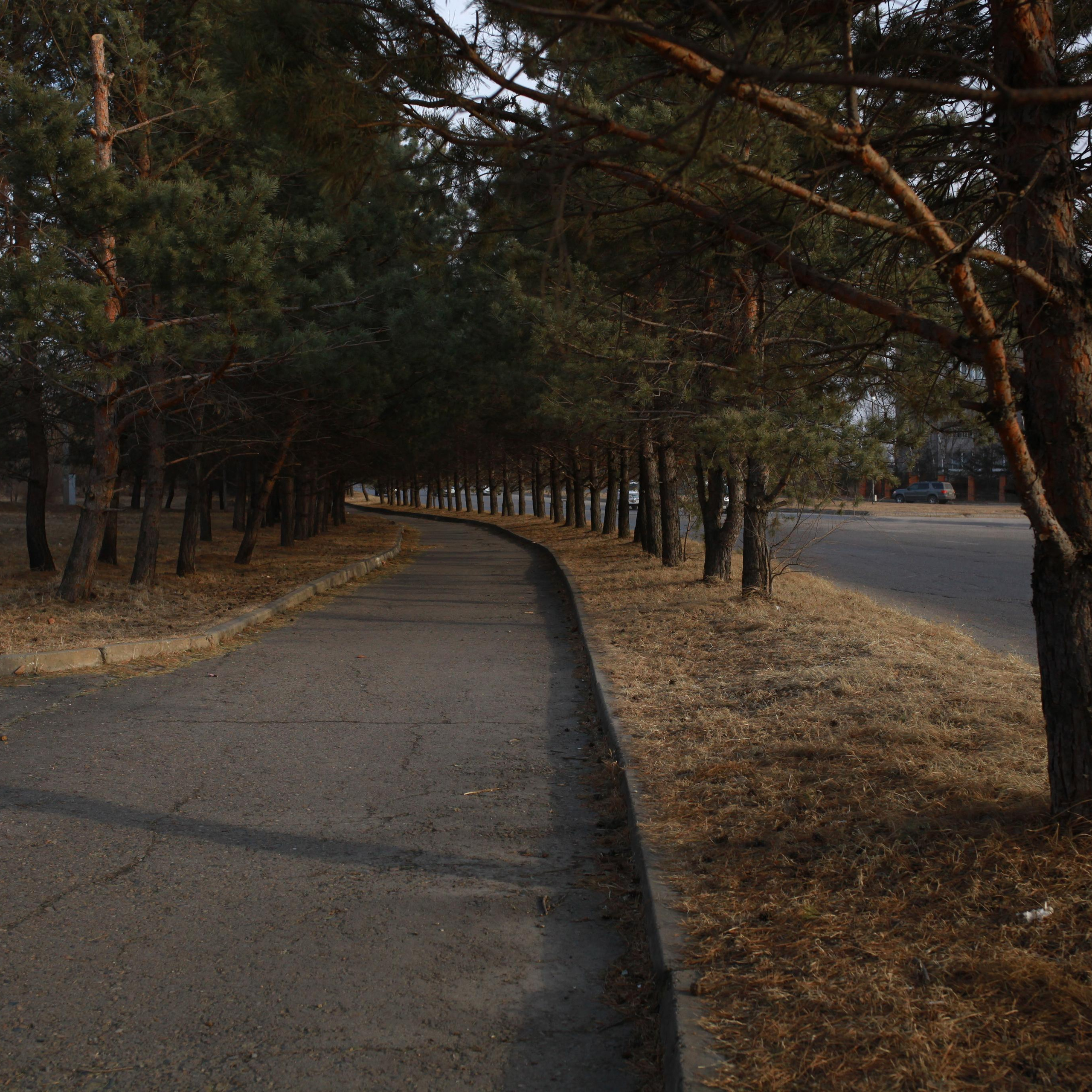 Лесозаводск 2022