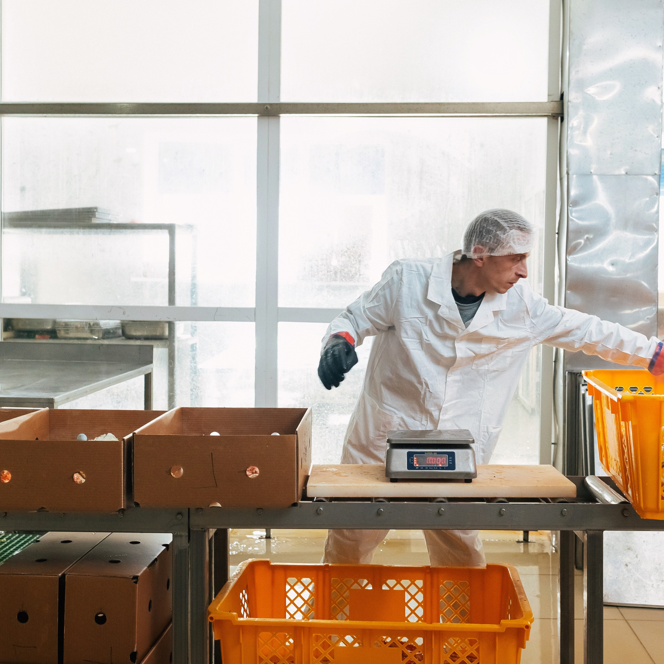 ТИХРЫБКОМ 2022