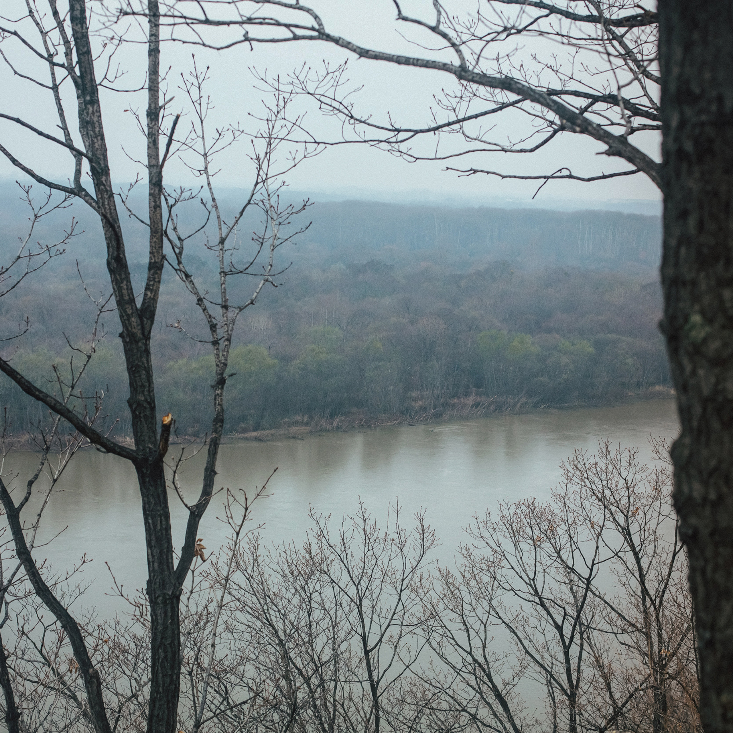 Лесозаводск 2022