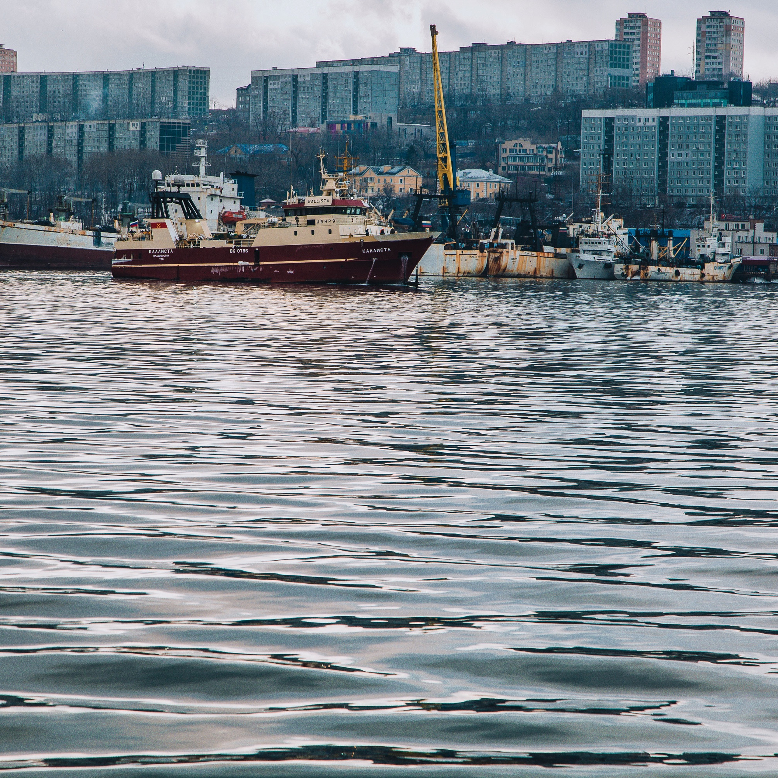 ТИХРЫБКОМ 2022