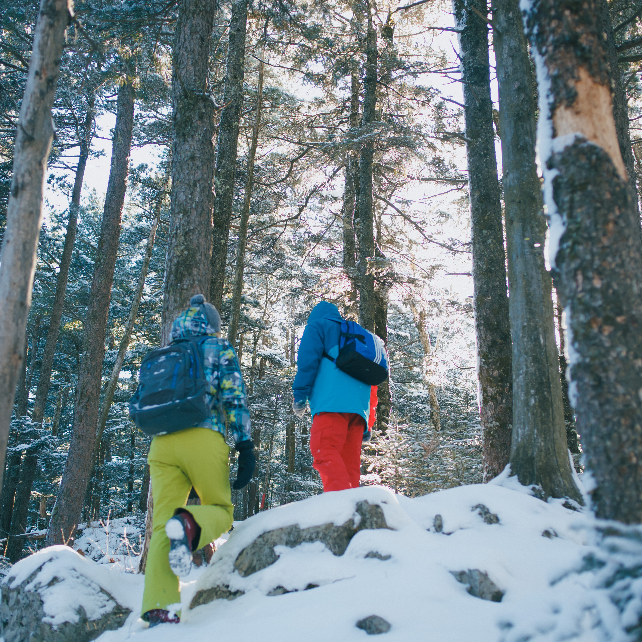 ФАЛАЗА разные года