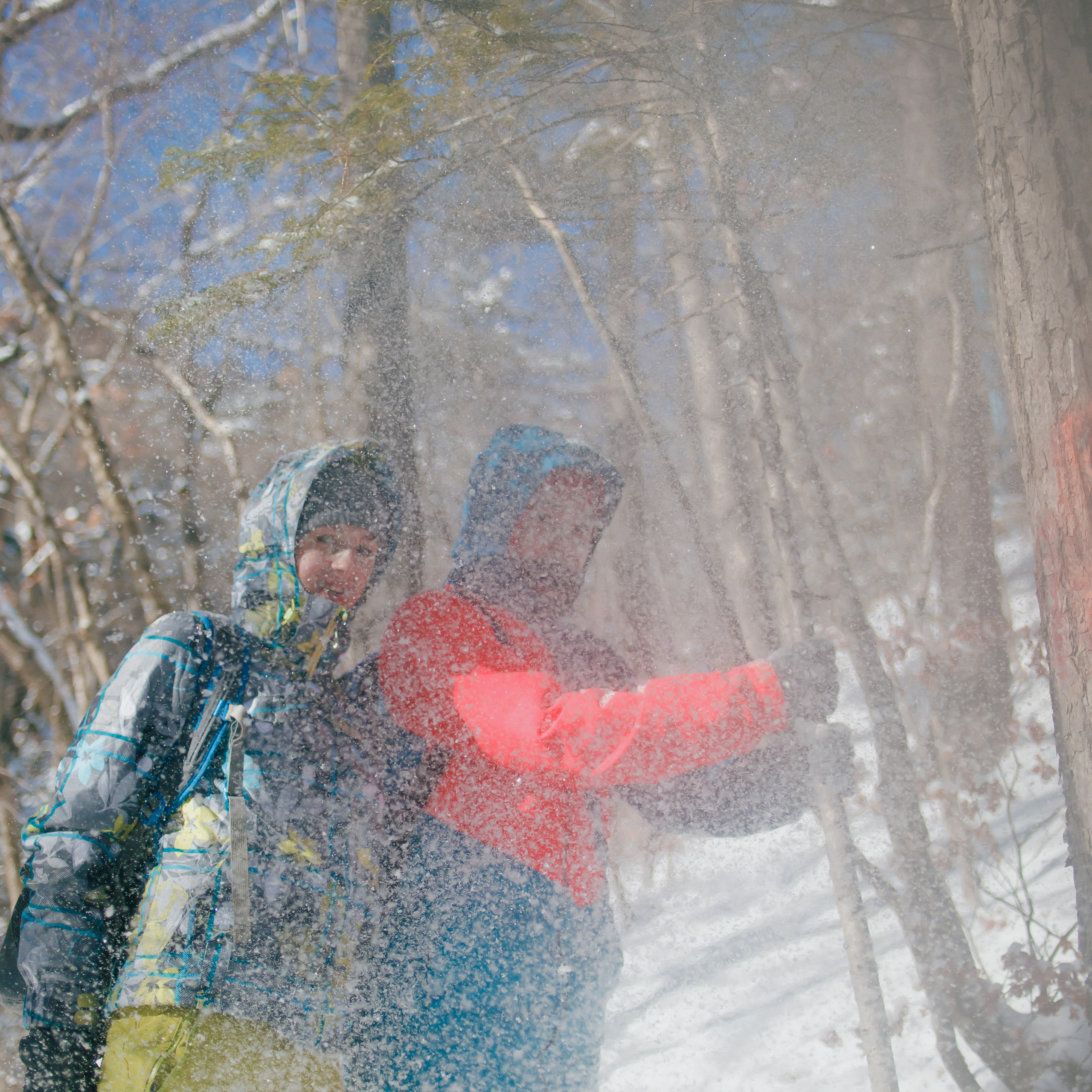 ФАЛАЗА разные года