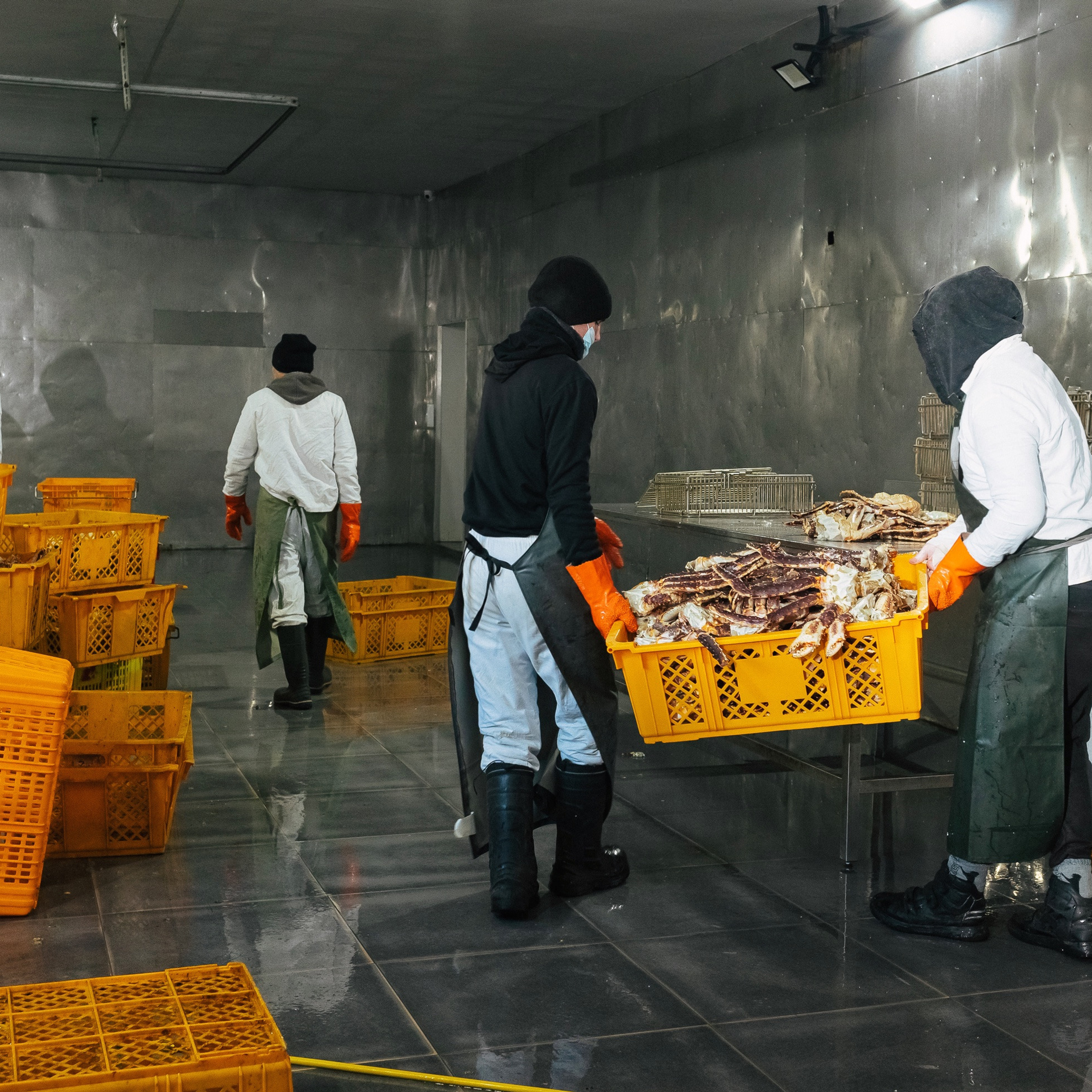 ТИХРЫБКОМ 2022