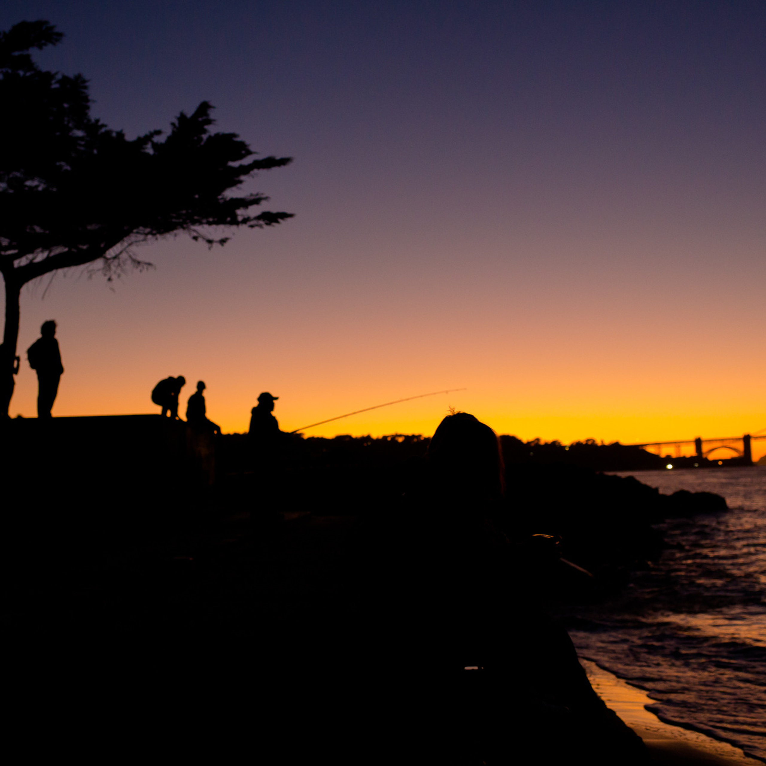 Америка 2016-2019