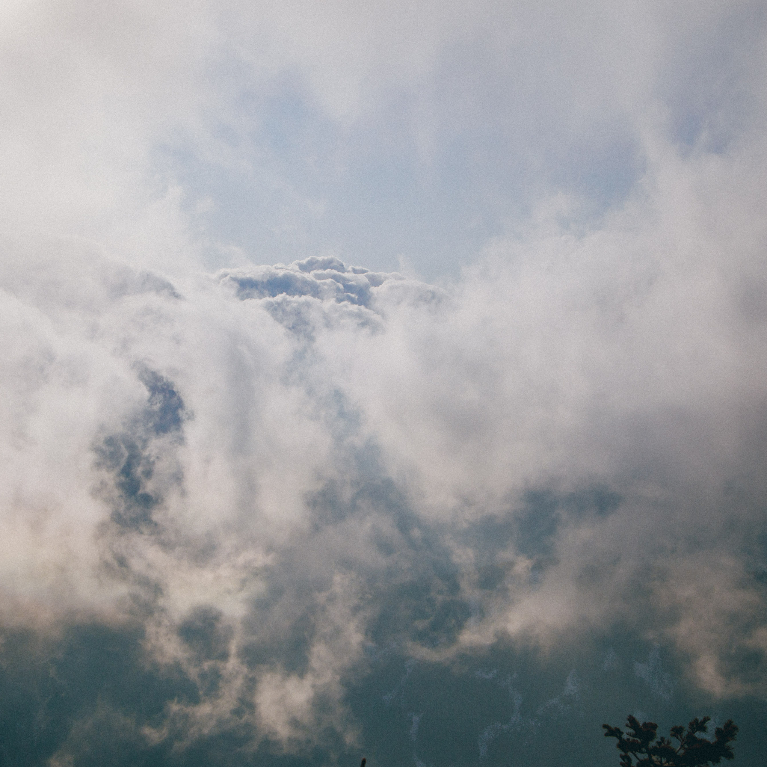 ФАЛАЗА разные года