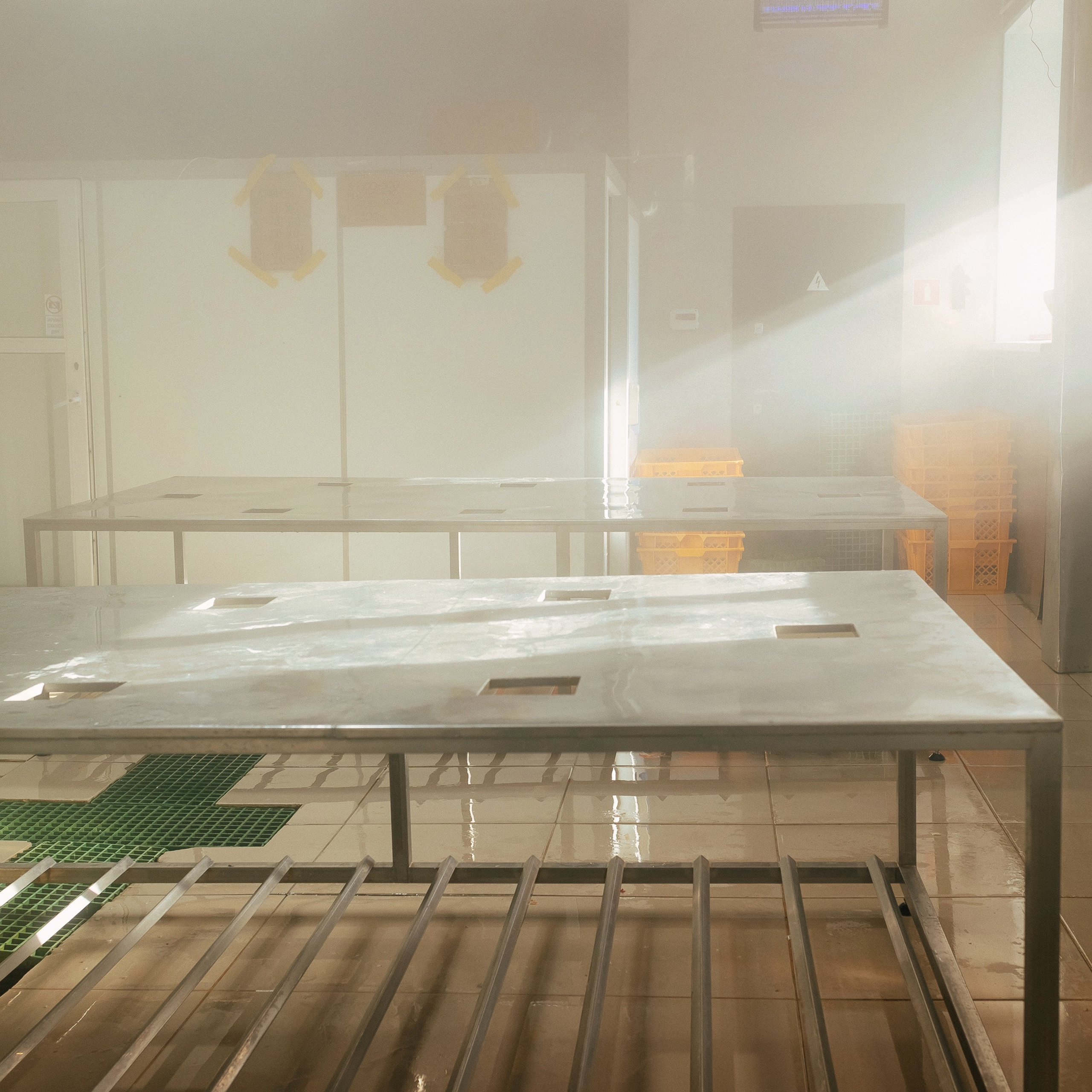 ТИХРЫБКОМ 2022