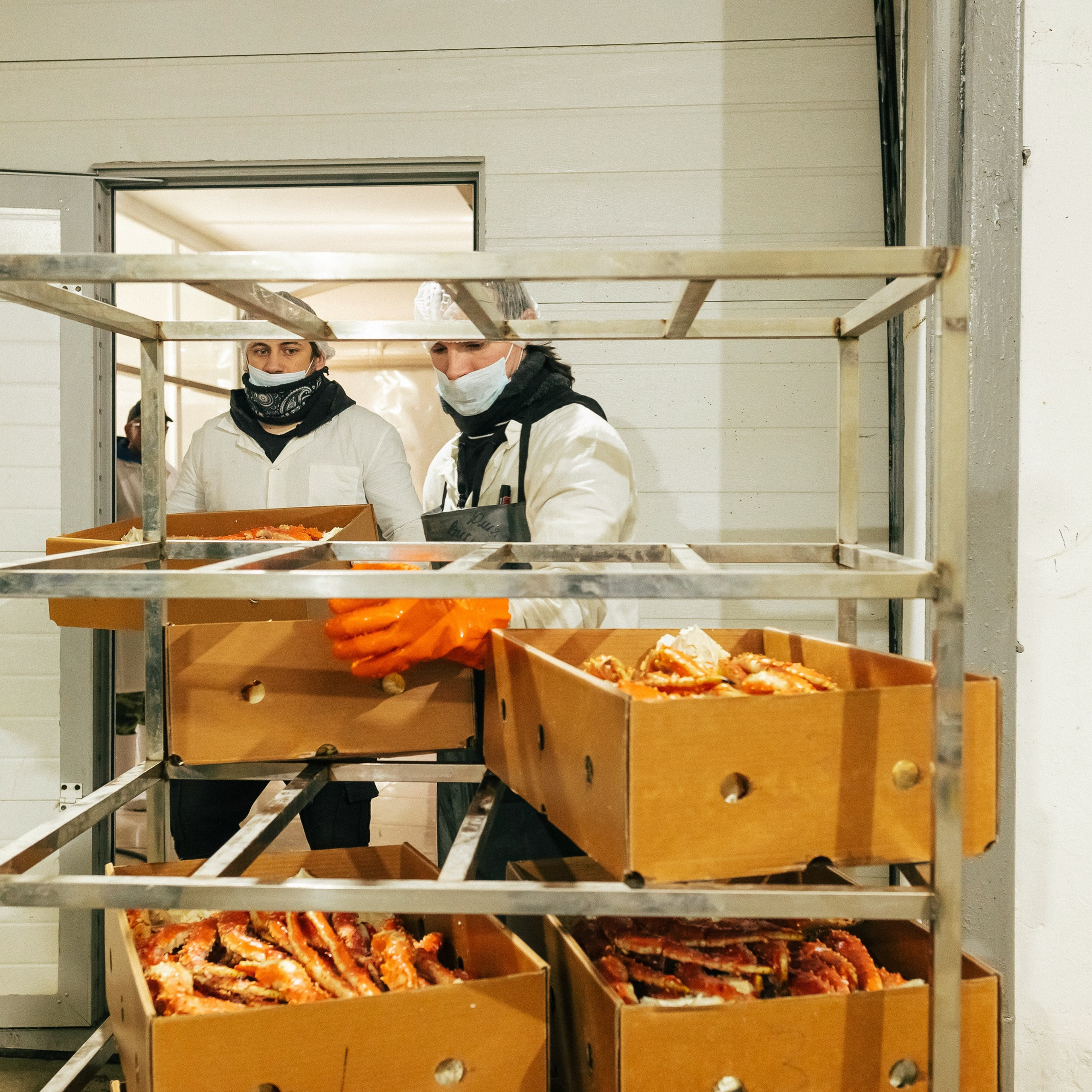 ТИХРЫБКОМ 2022