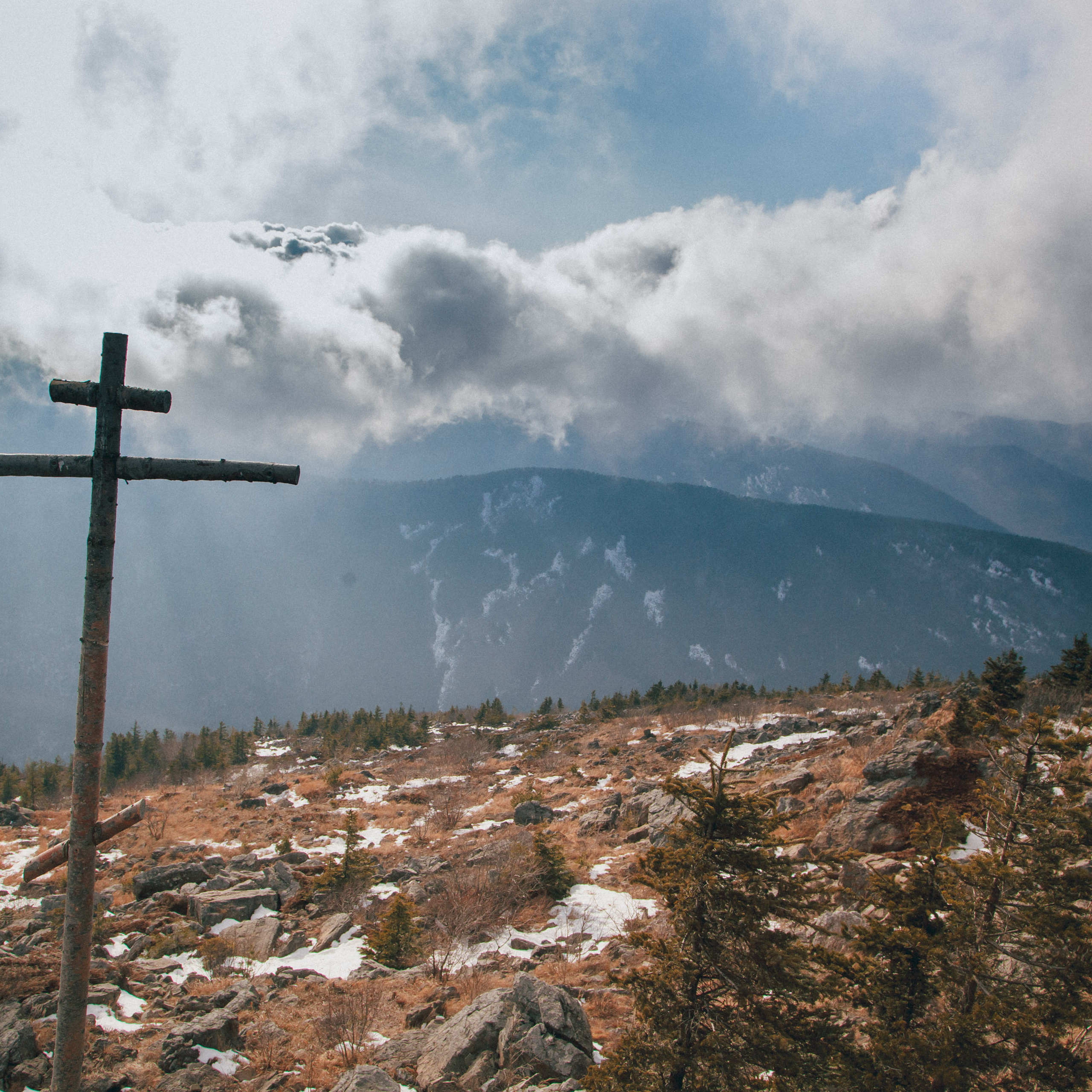 ФАЛАЗА разные года