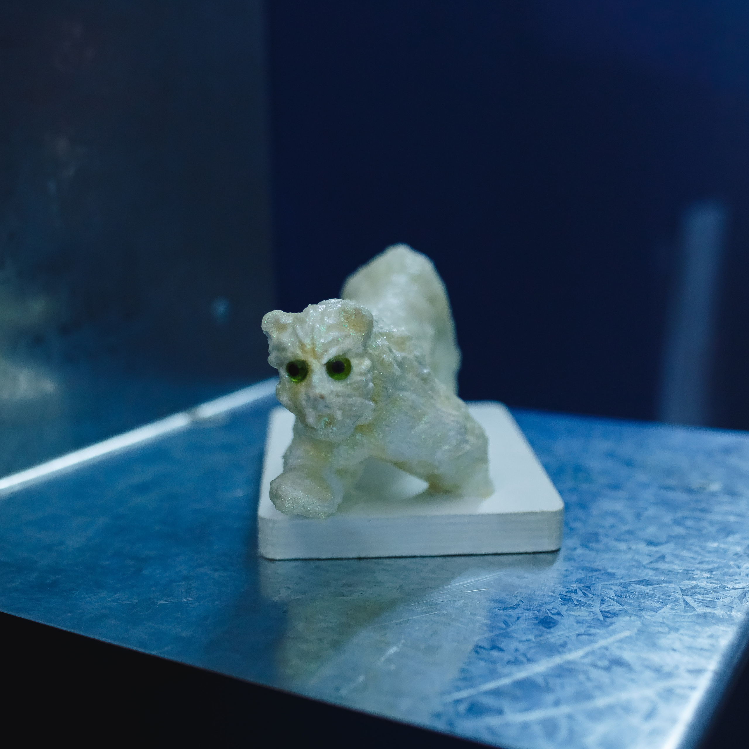 Открытие выставки Сон Зари 2020