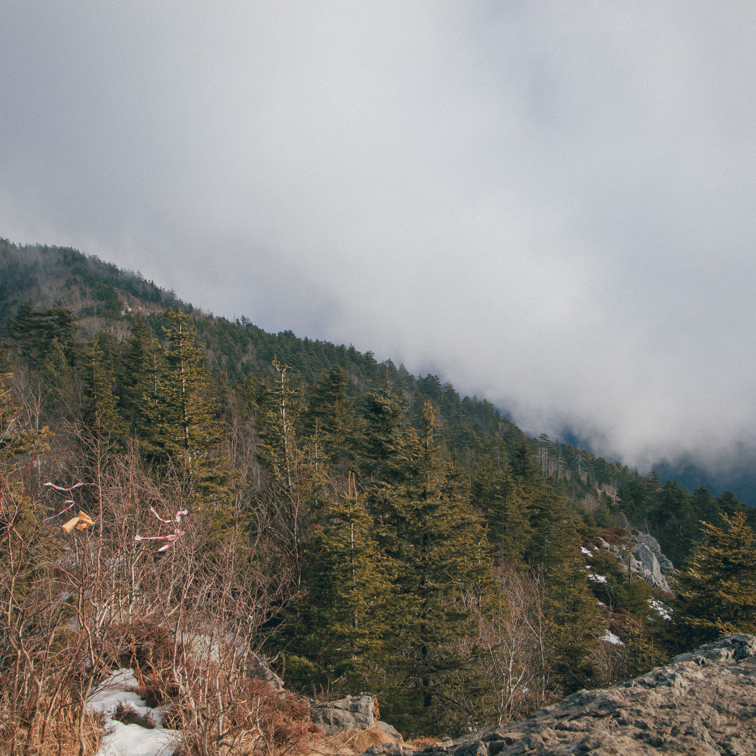 ФАЛАЗА разные года