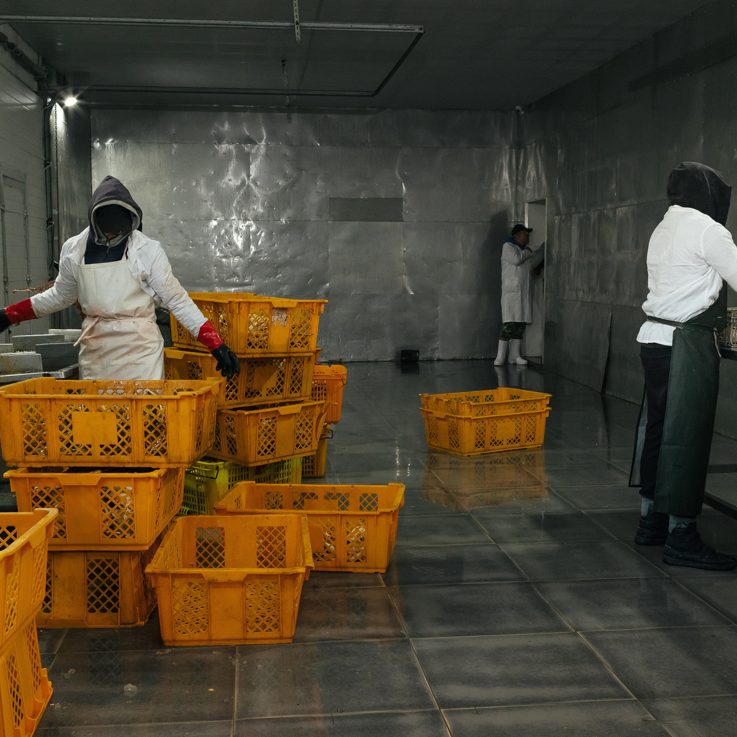 профессиональный репортажный фотограф на мастер-класс и деловой бизнес-круглый стол