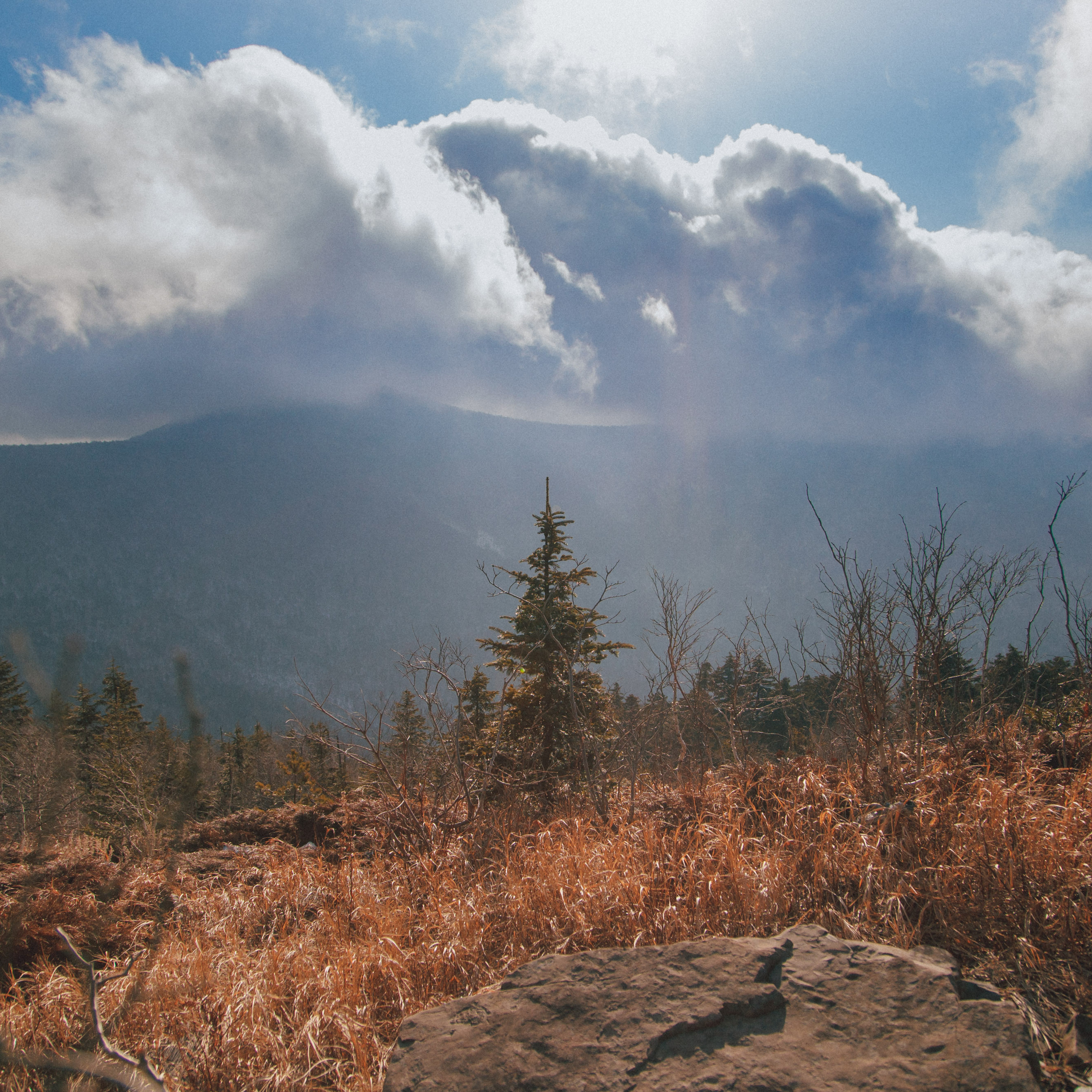 ФАЛАЗА разные года