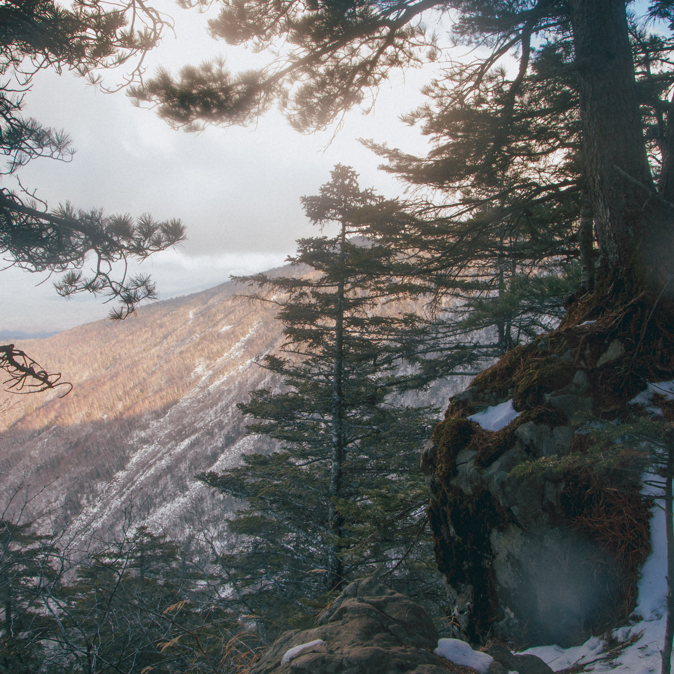 ФАЛАЗА разные года