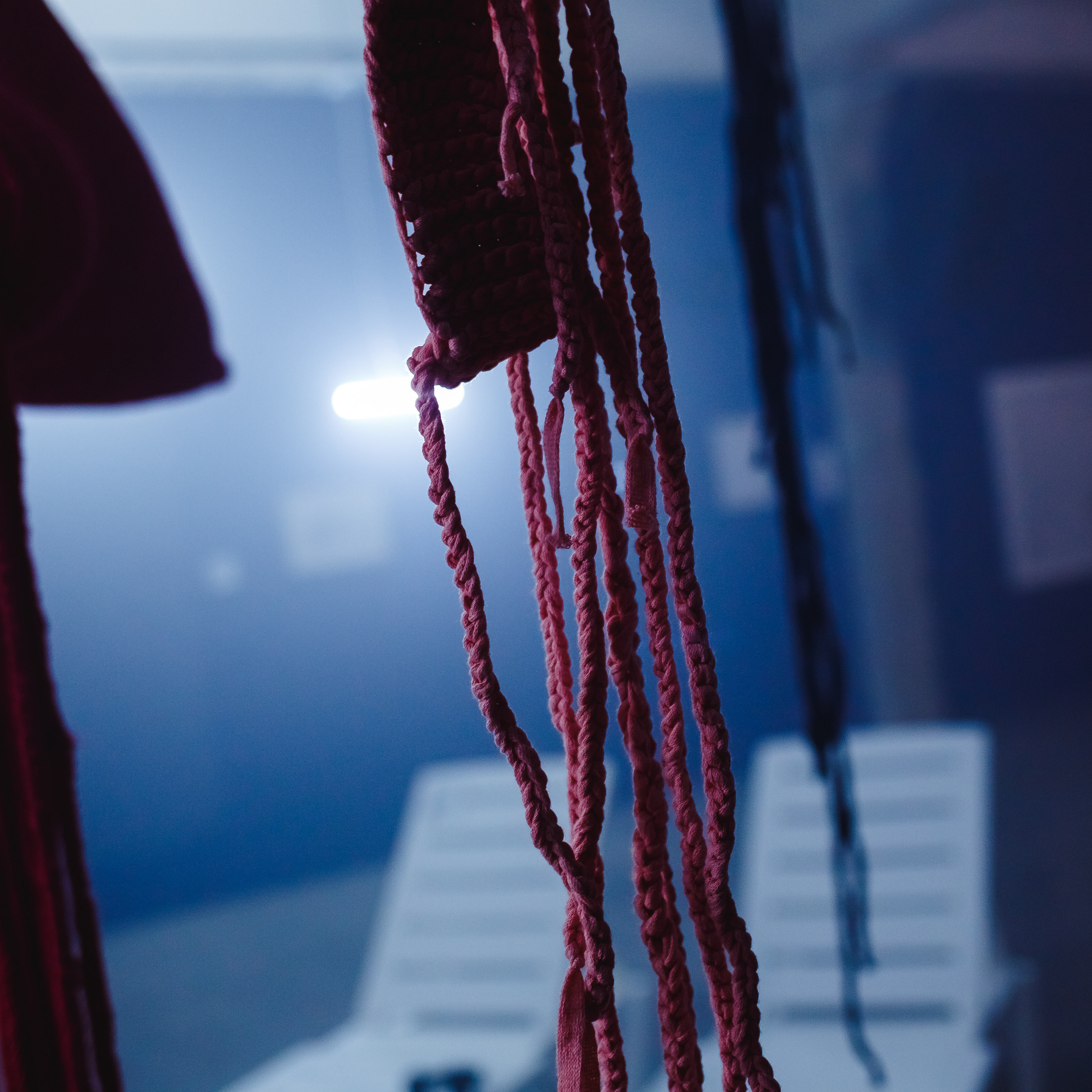 Открытие выставки Сон Зари 2020