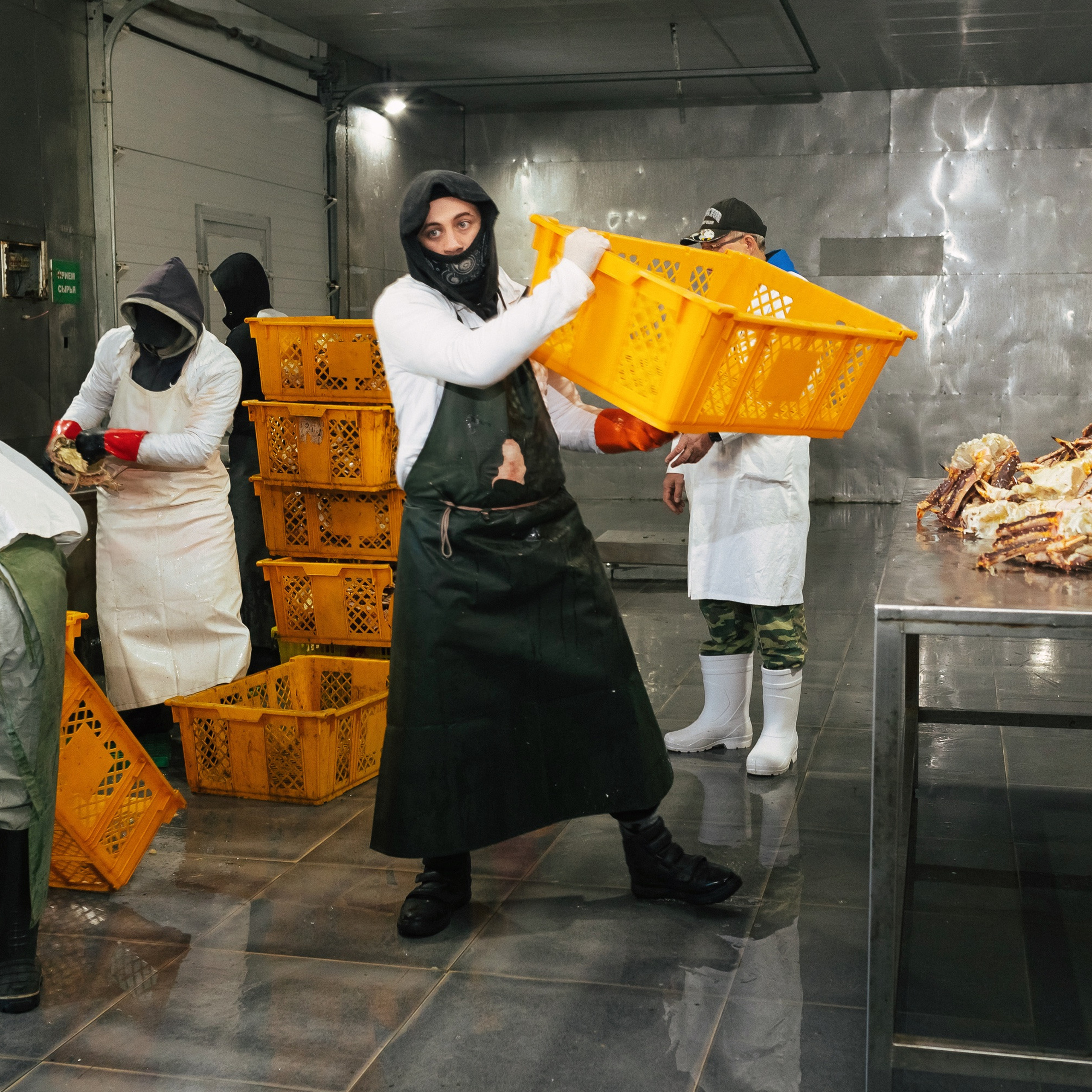 ТИХРЫБКОМ 2022