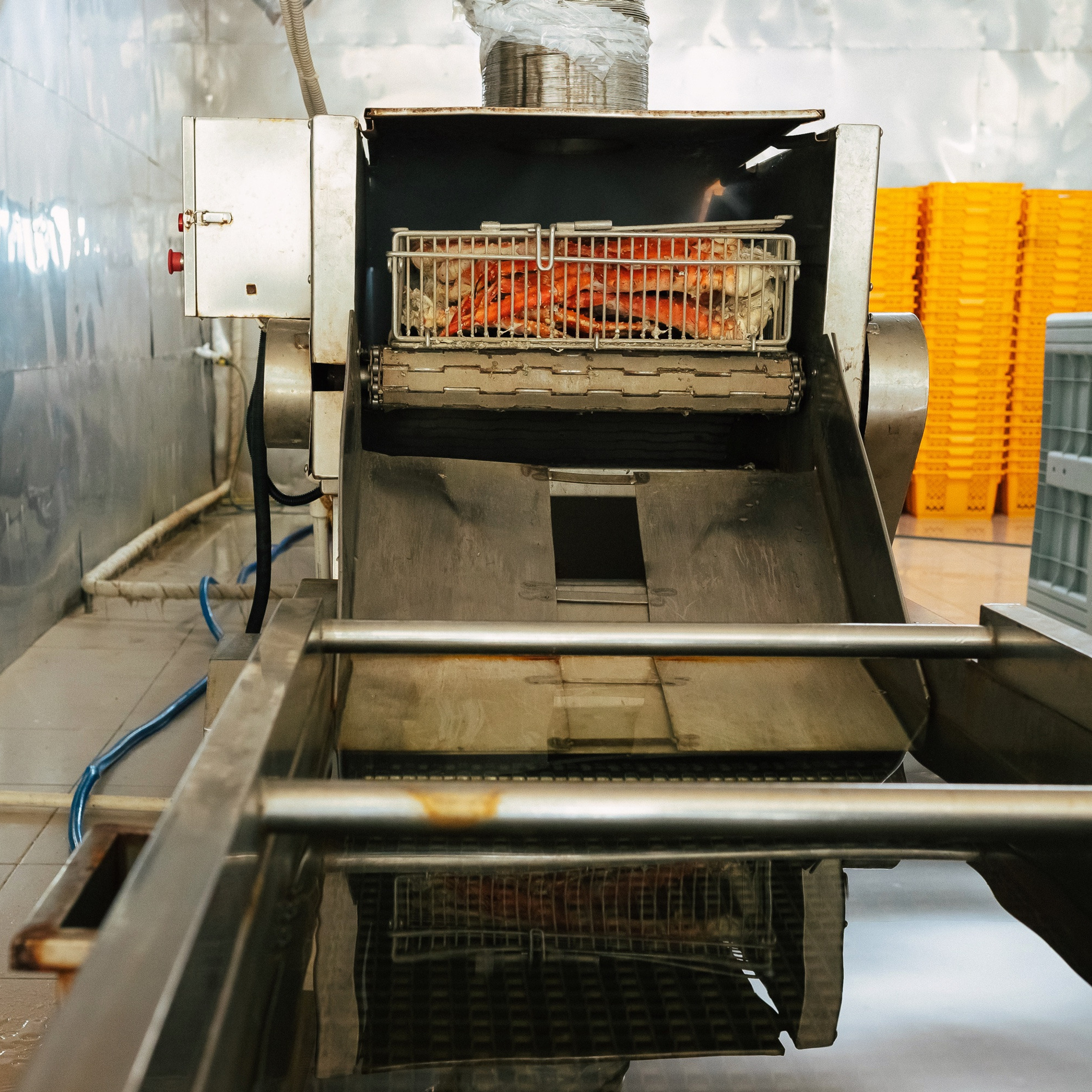 ТИХРЫБКОМ 2022