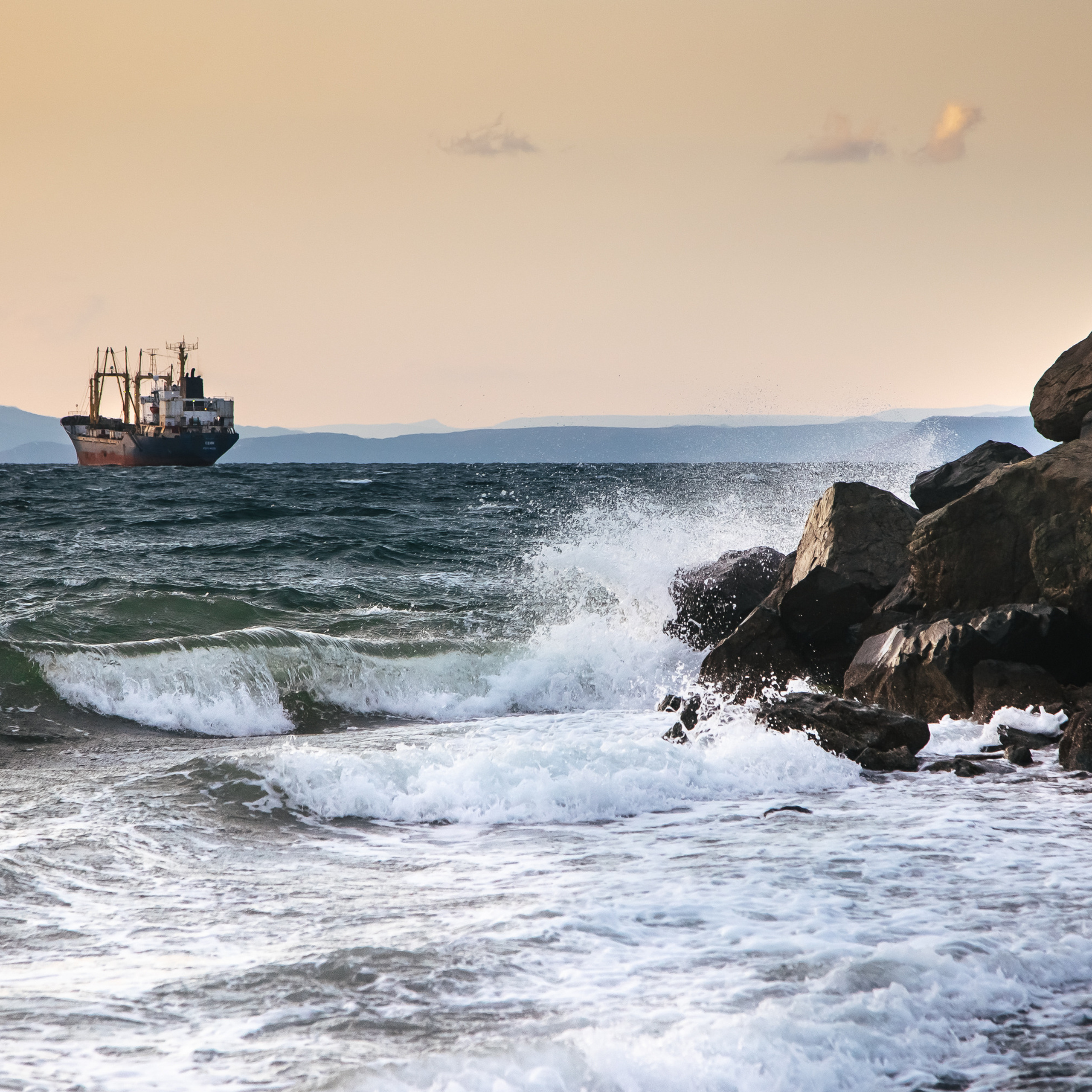 ТИХРЫБКОМ 2022