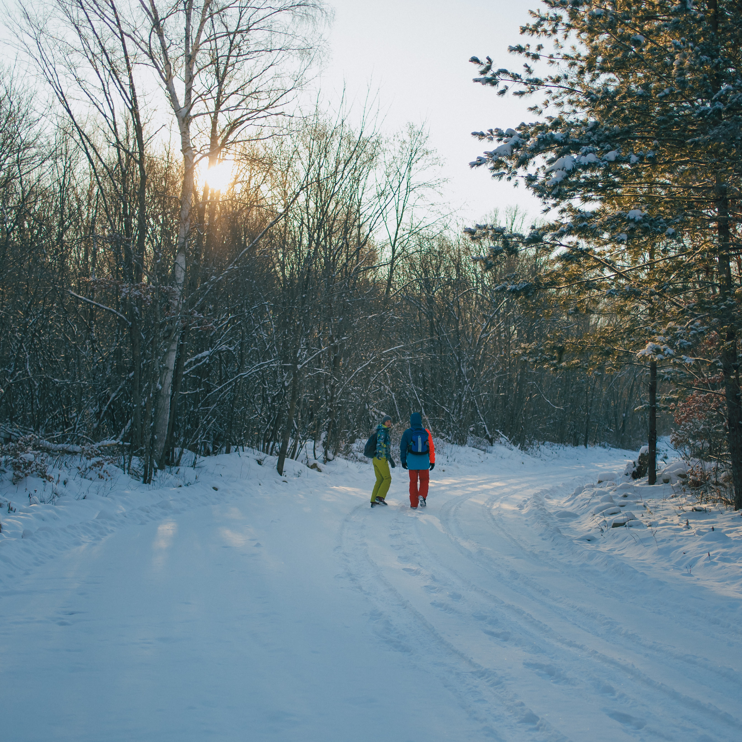 ФАЛАЗА разные года