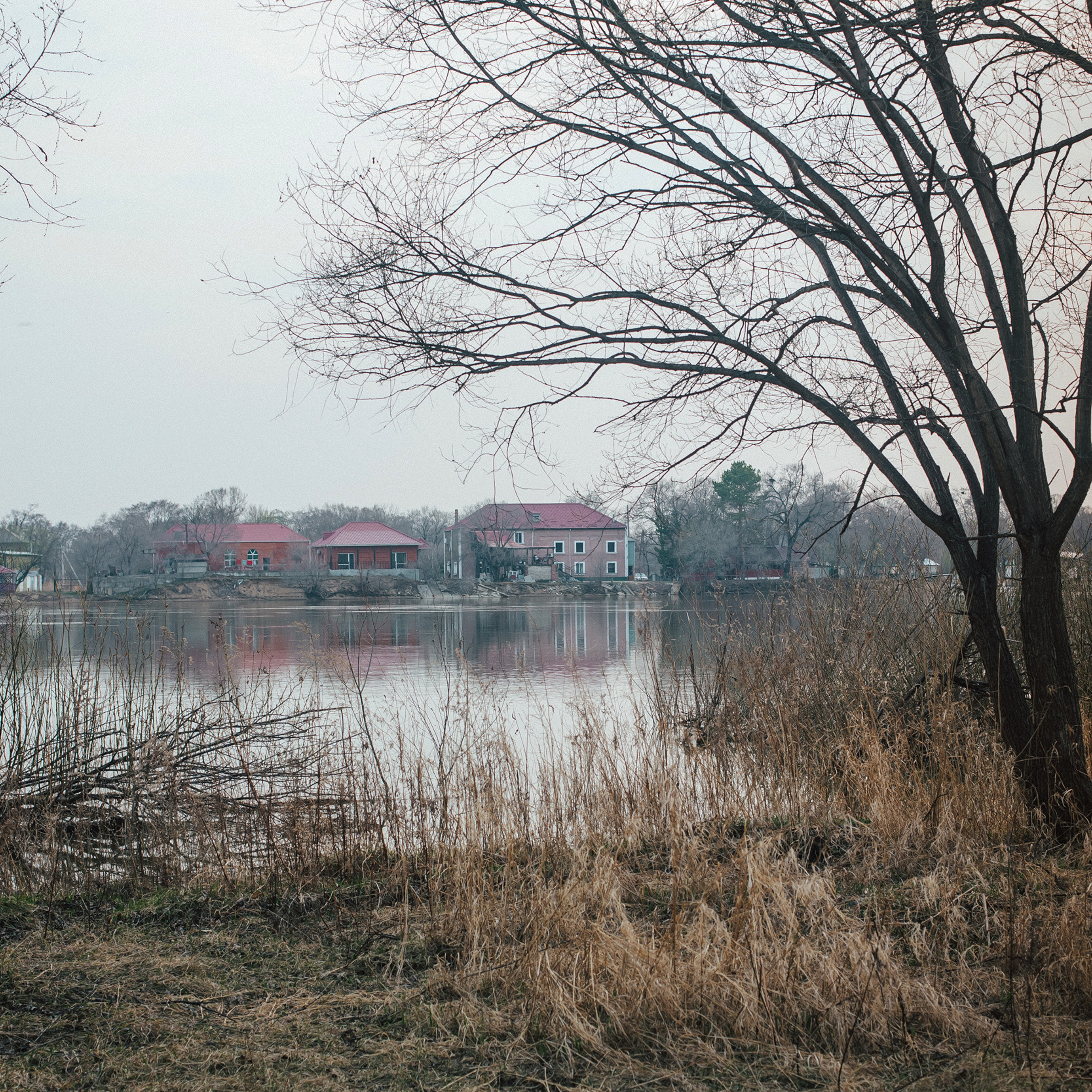 Лесозаводск 2022