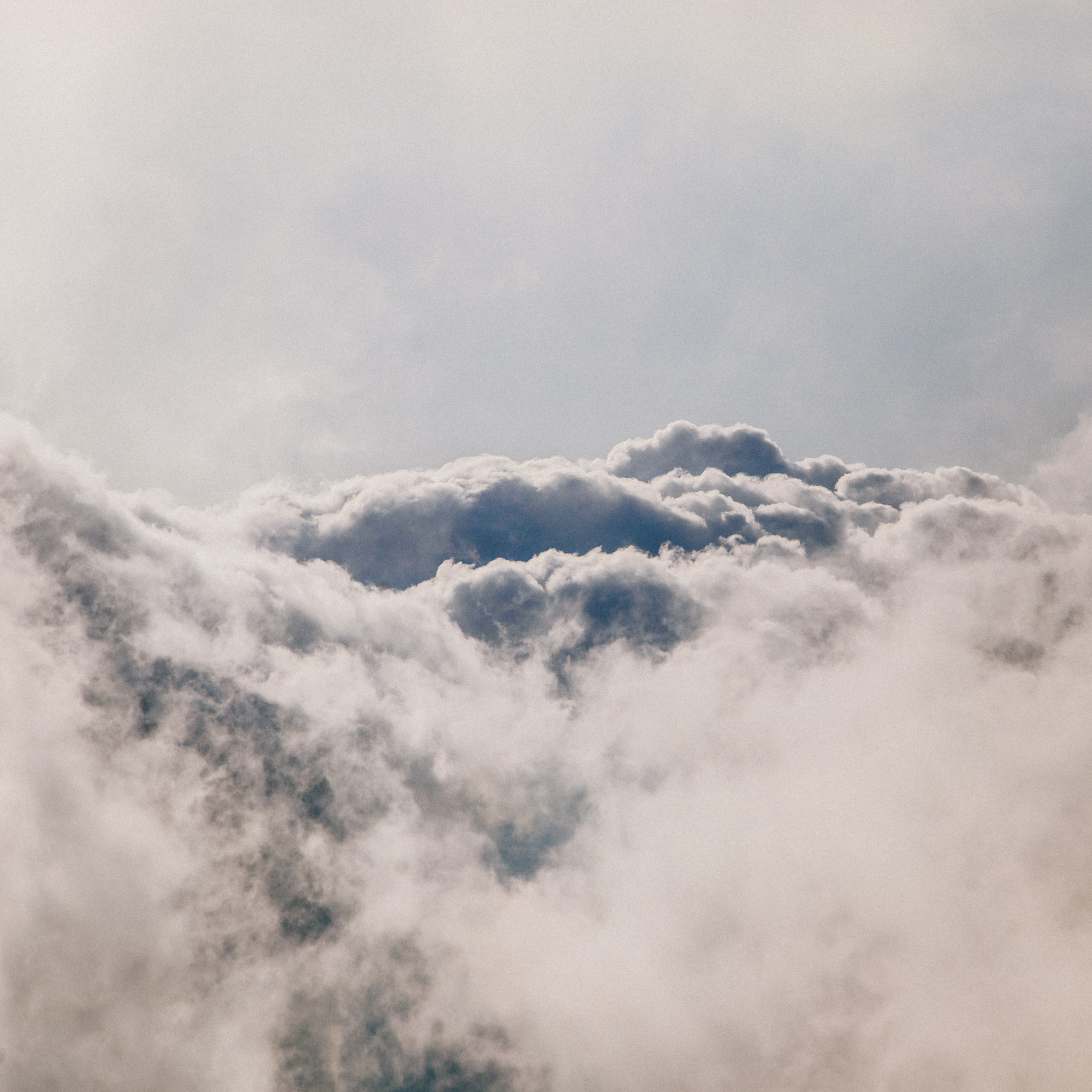 ФАЛАЗА разные года