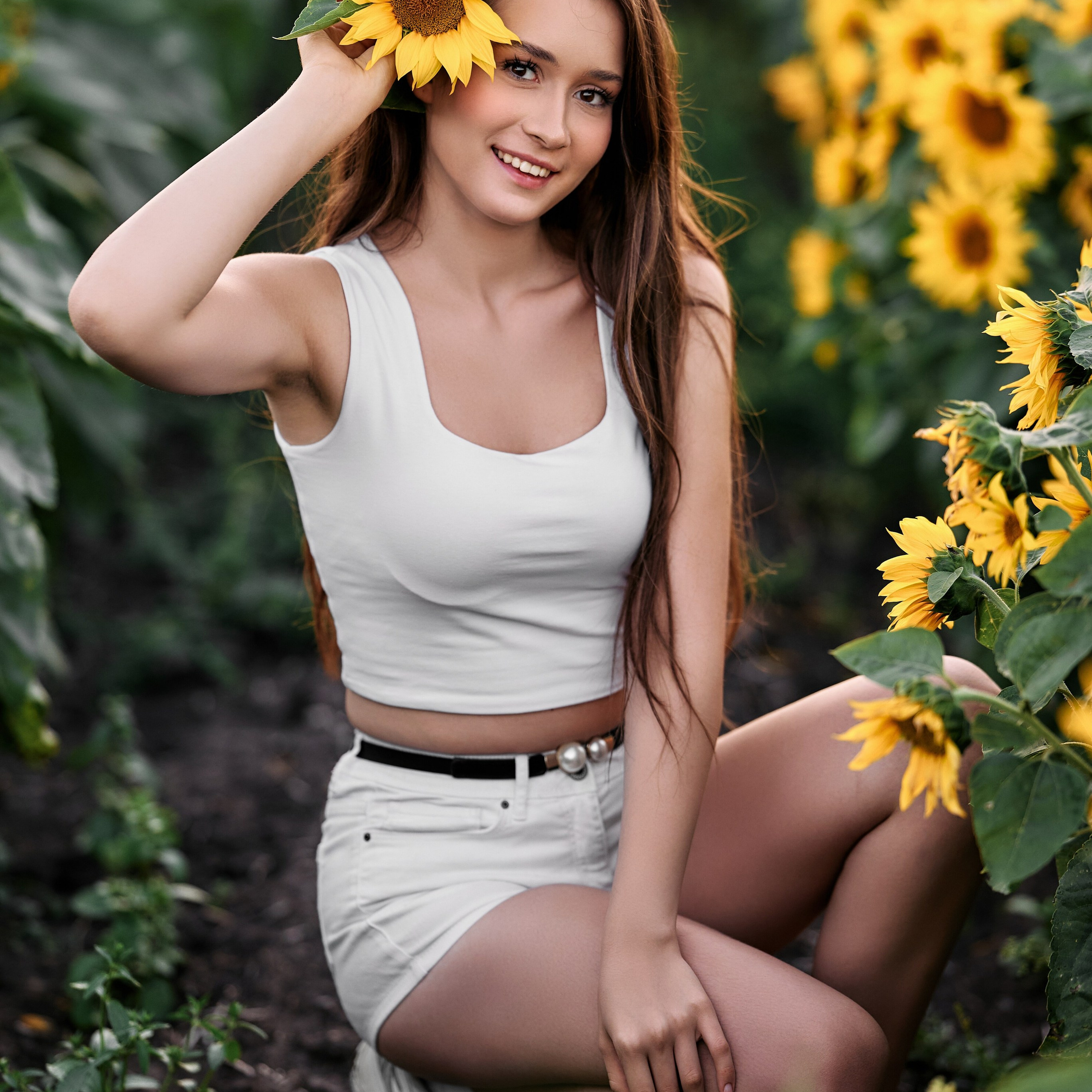 ПОДСОЛНУХИ