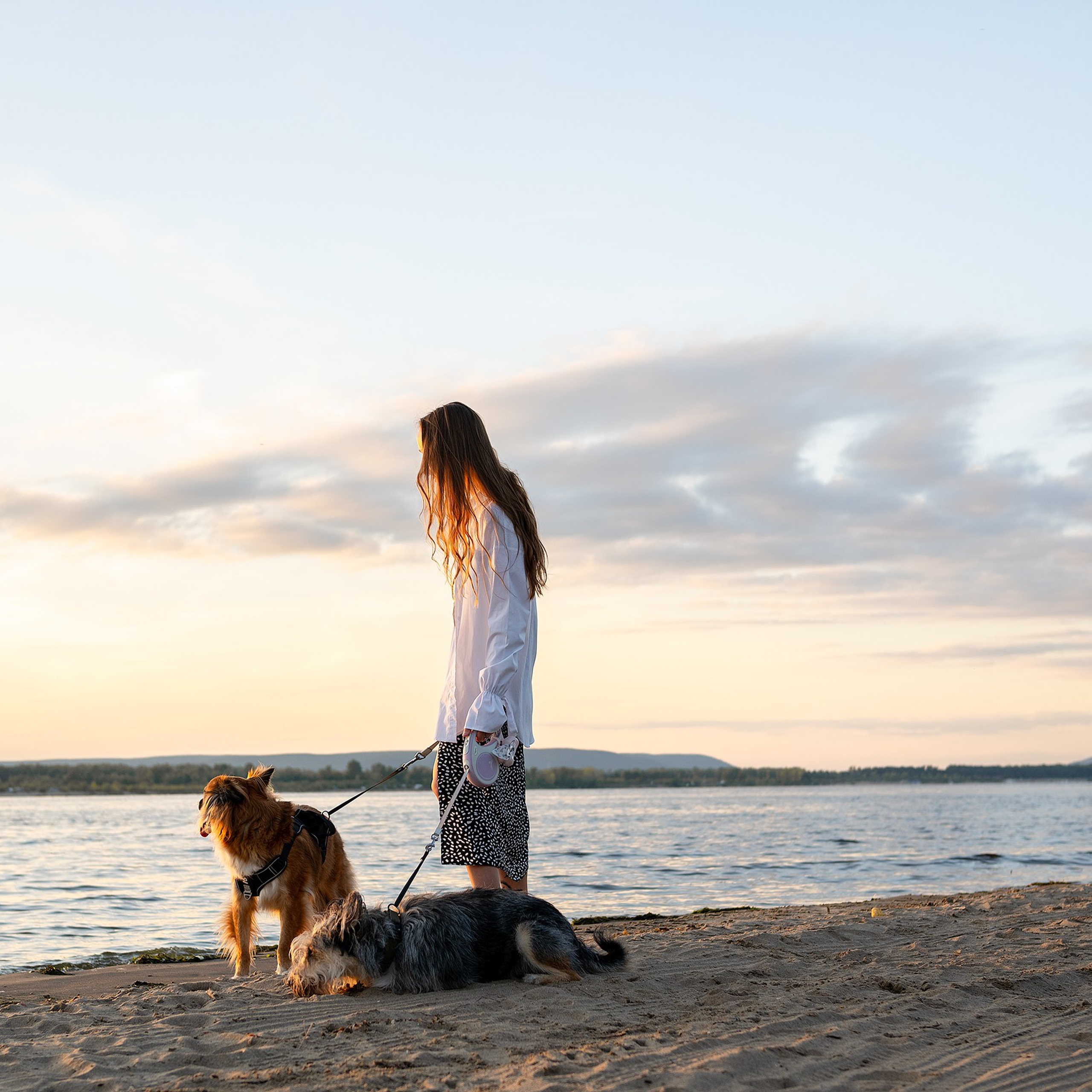 Лиза, Клопа и Хрюша