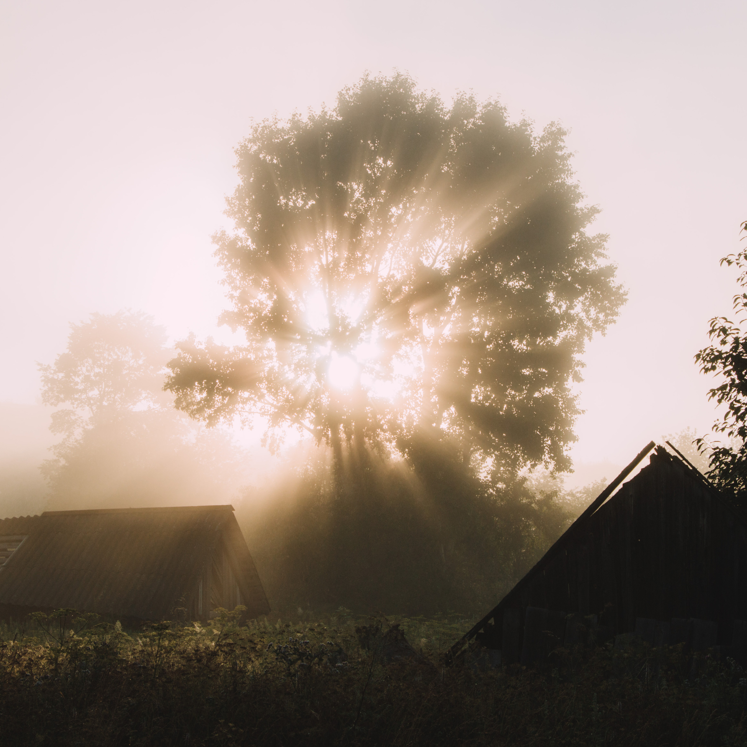 Куеда | Июль 2020