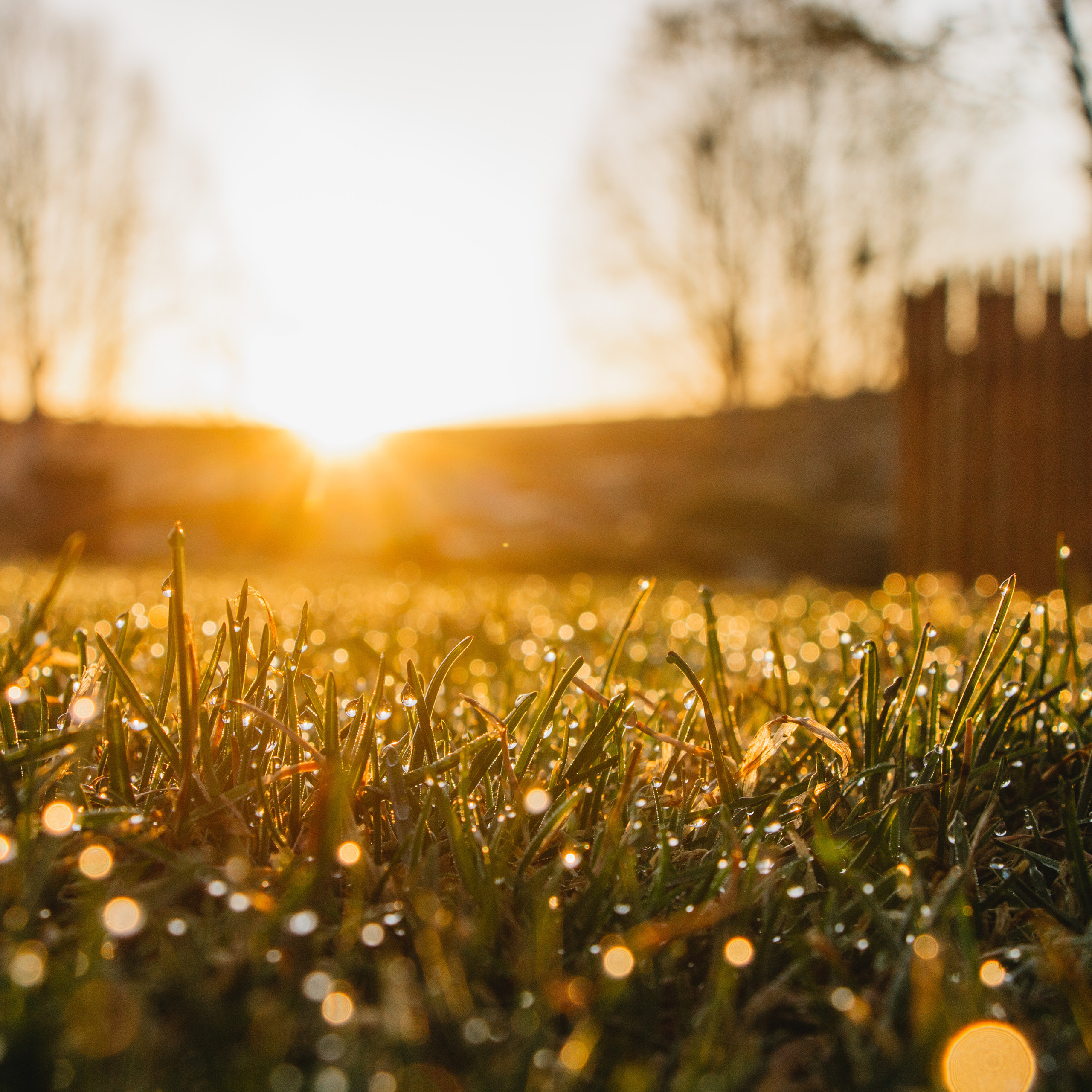 Сплав по Койве | Май 2020