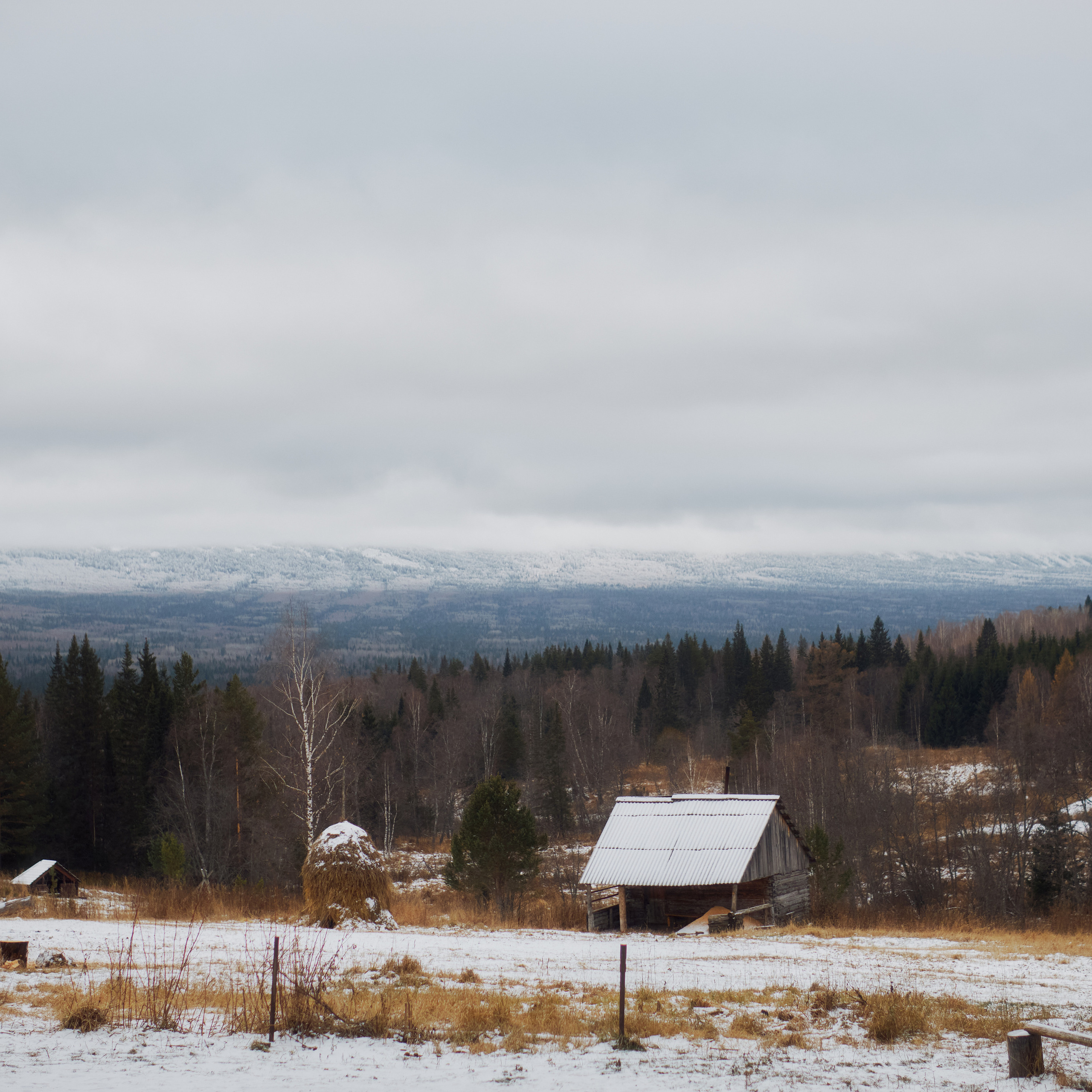 Алимпьев кордон | Ноябрь 2022