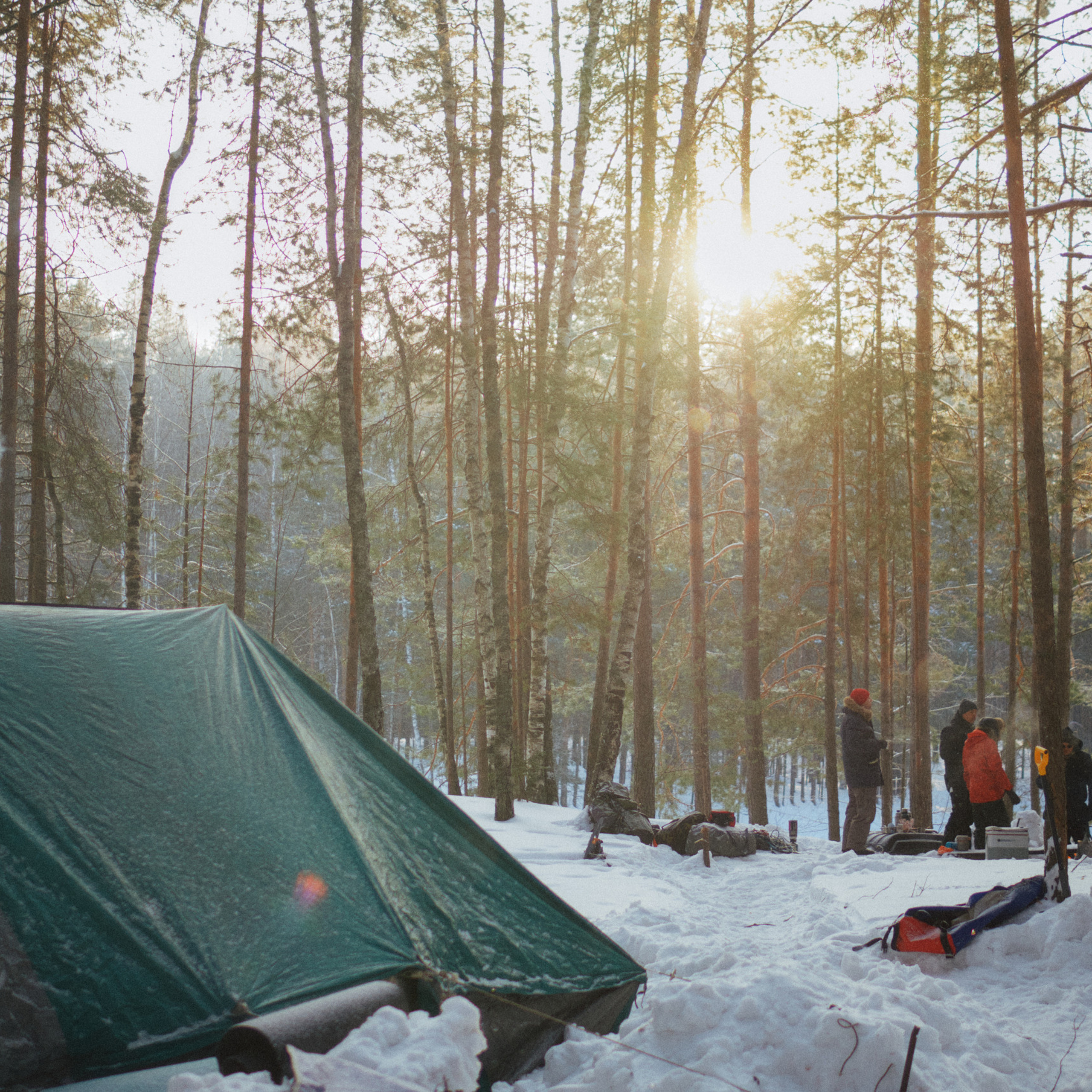 Отзывы. Andrew Sozonov visual artist