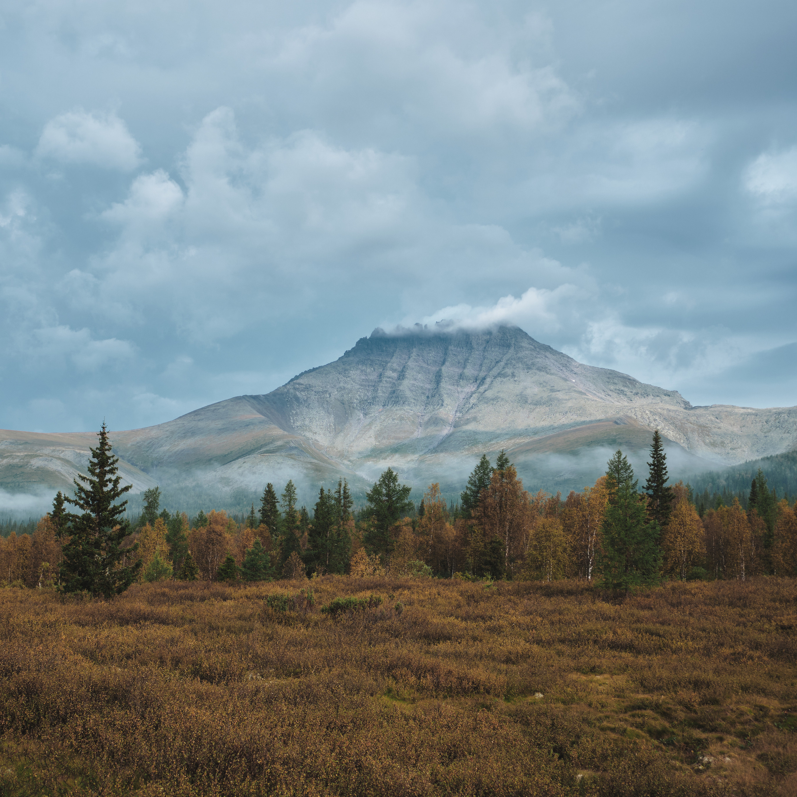 Приполярный Урал | Август 2021