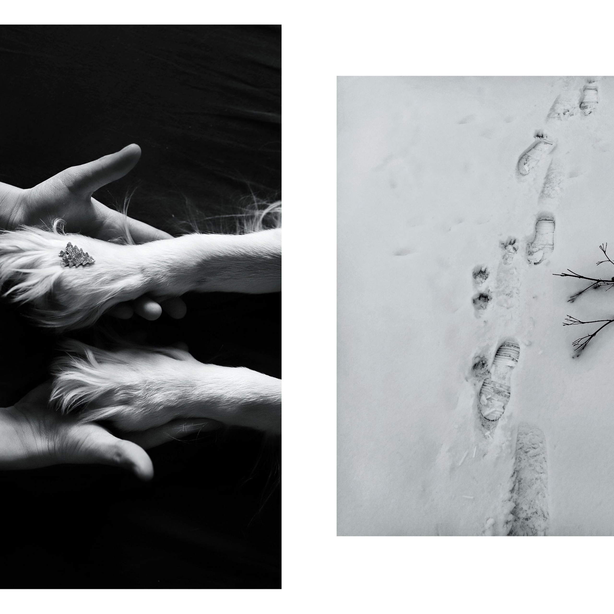 Connections (2020-2023)